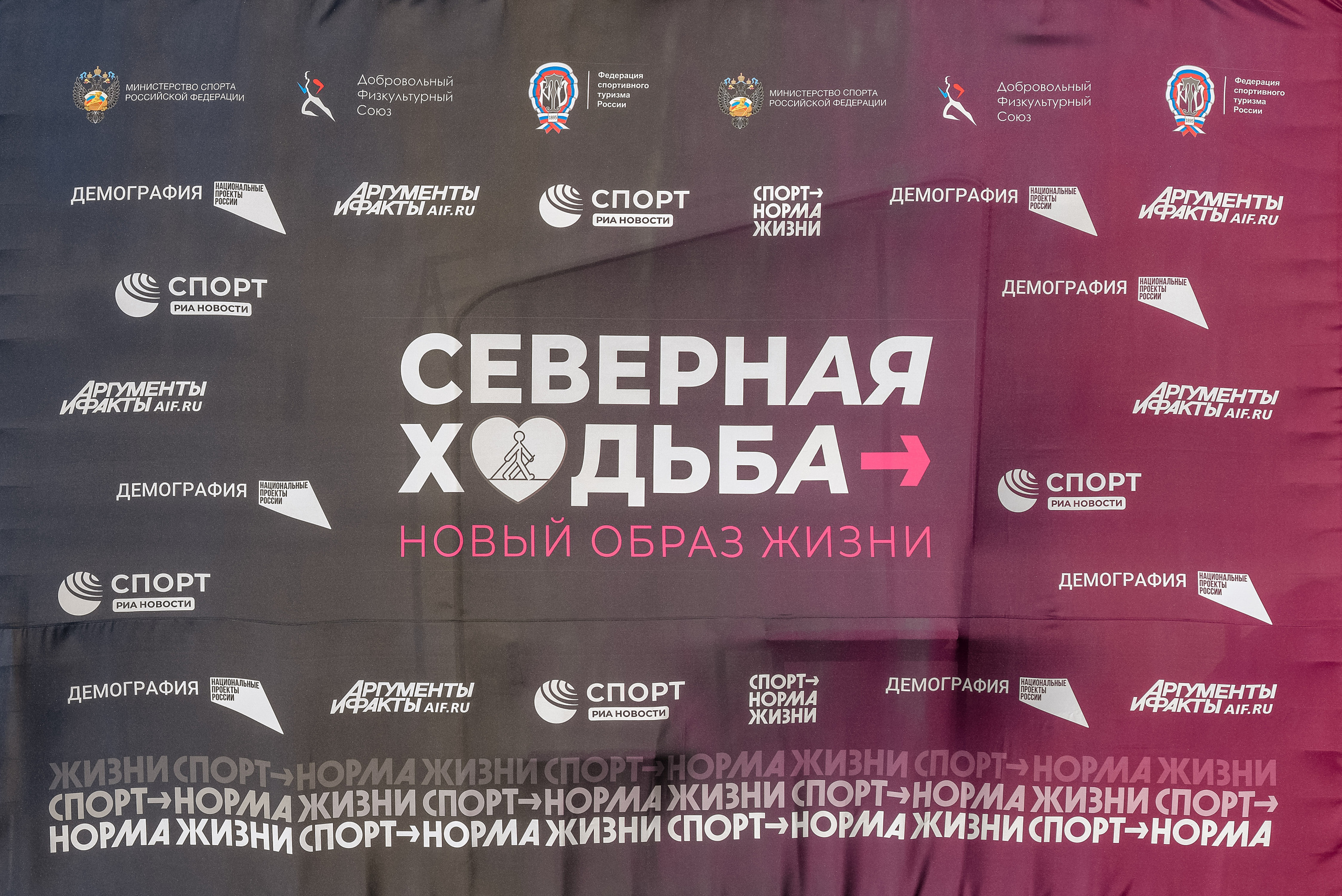 Северная ходьба. Фотограф Анна Герман. Красноярск