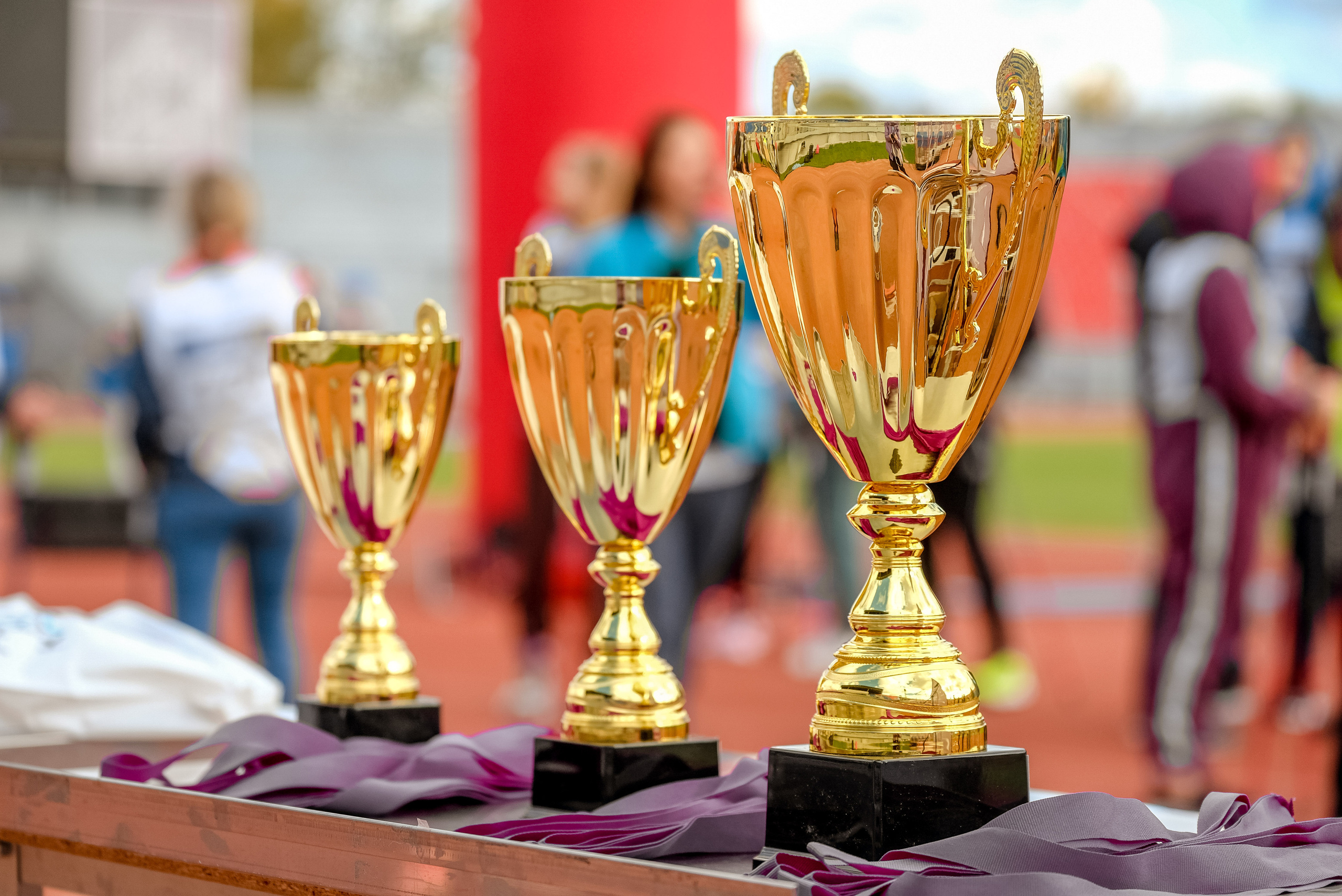 Северная ходьба. Фотограф Анна Герман. Красноярск