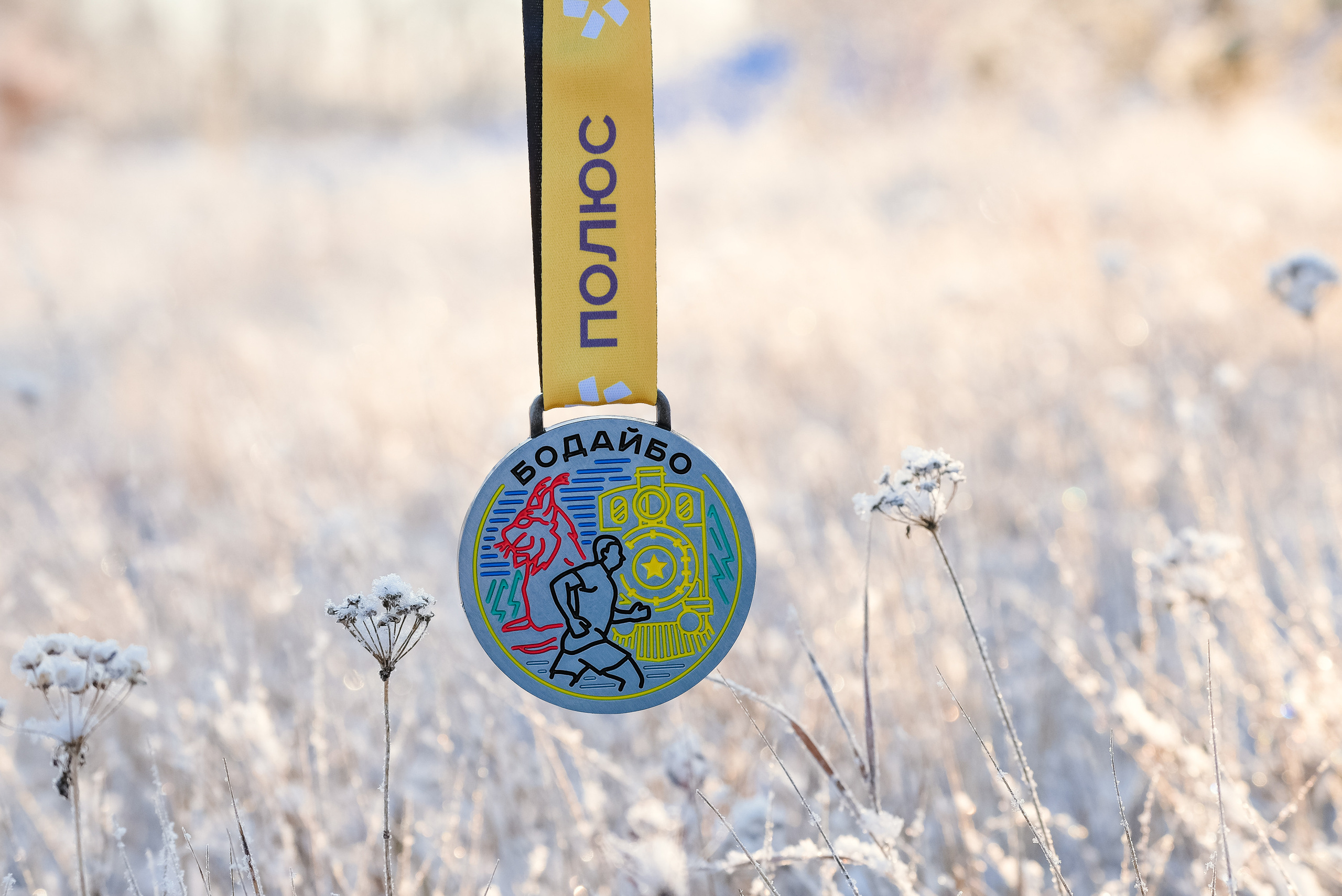 Корпоративный забег «ПОЛЮС». Фотограф Анна Герман. Красноярск