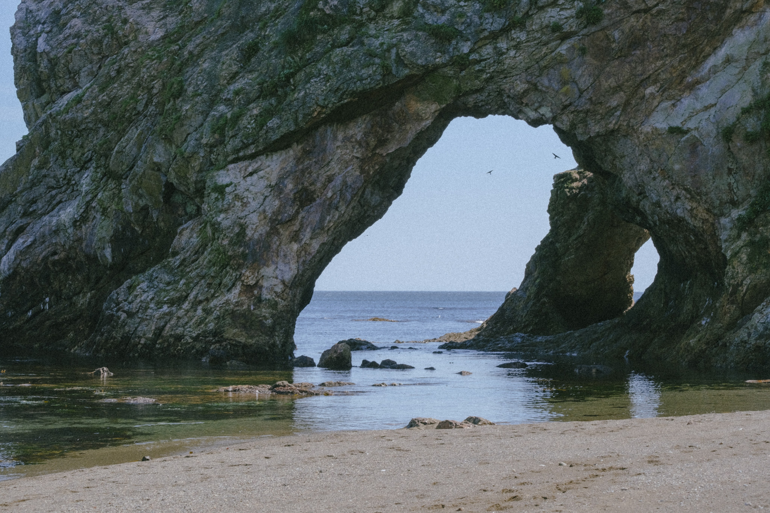 САХАЛИН. Профессиональный фотограф, Санкт-Петербург — Виктория Богомолова