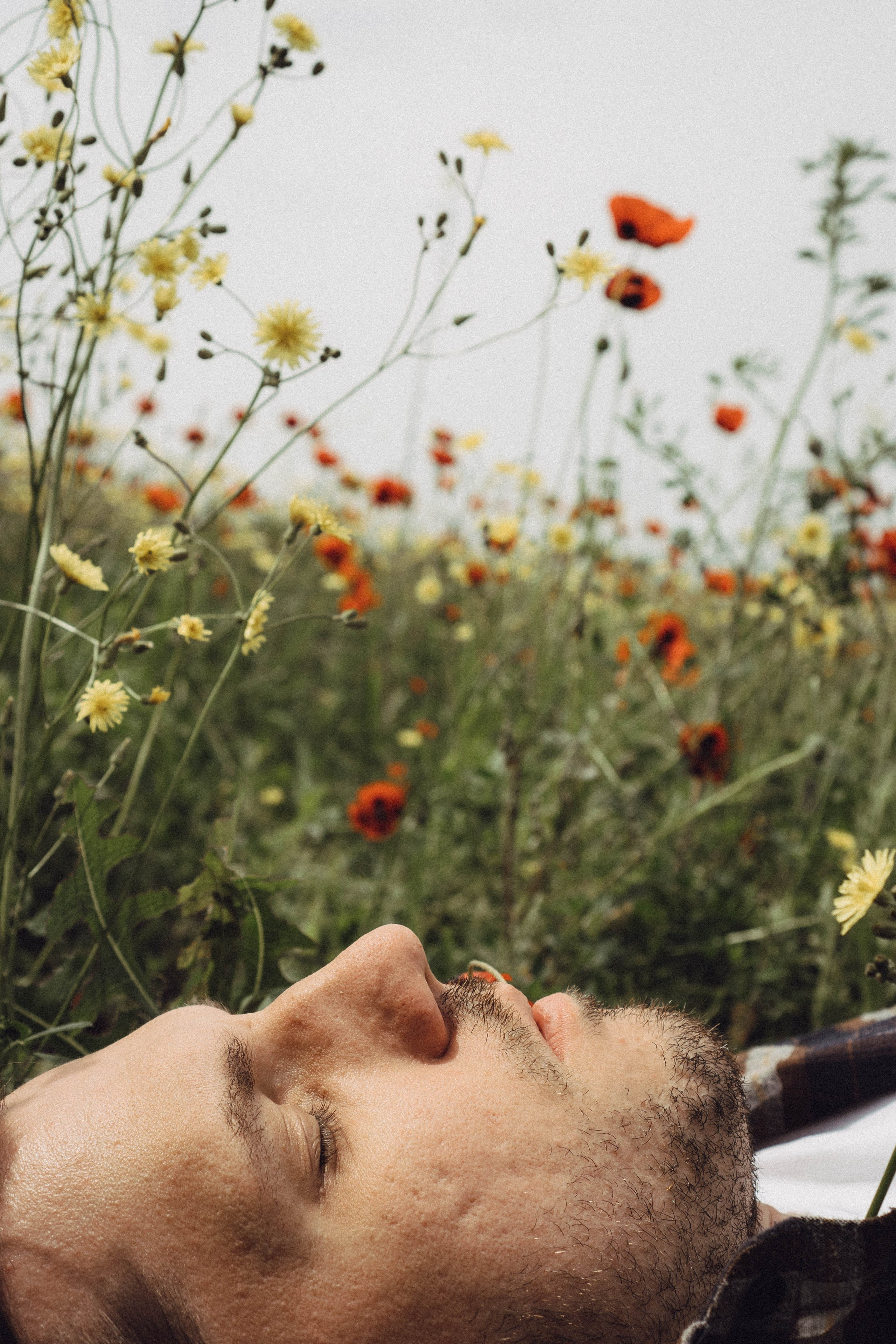 Маки. Профессиональный фотограф, Санкт-Петербург — Виктория Богомолова
