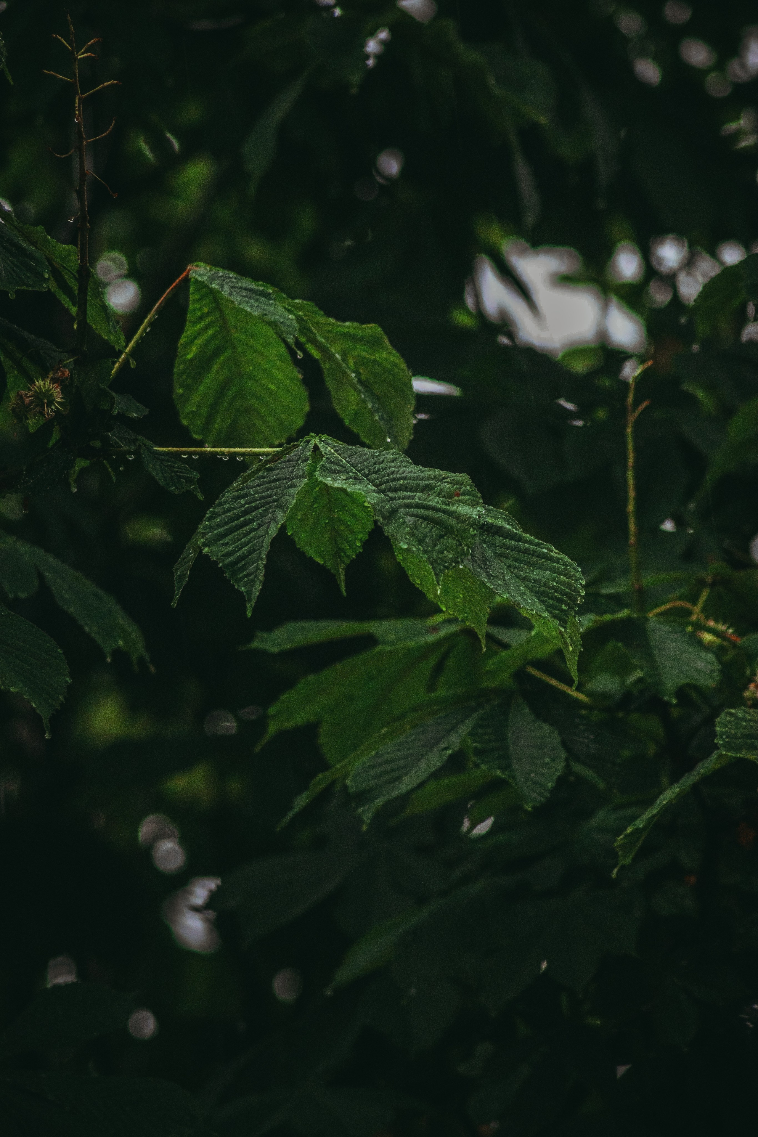 Т Е П Л Ы Й — З Е Л Е Н Ы Й. — Digital Noise —