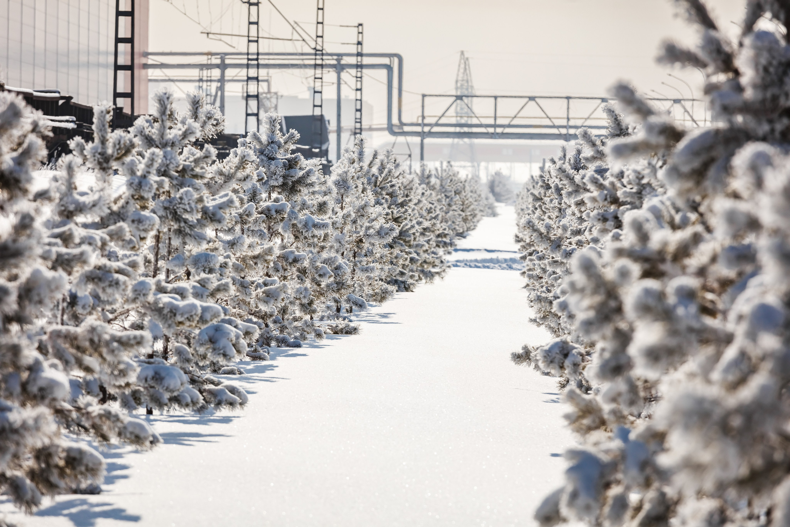 ММК зимой. Сергей Петруша. Фотограф