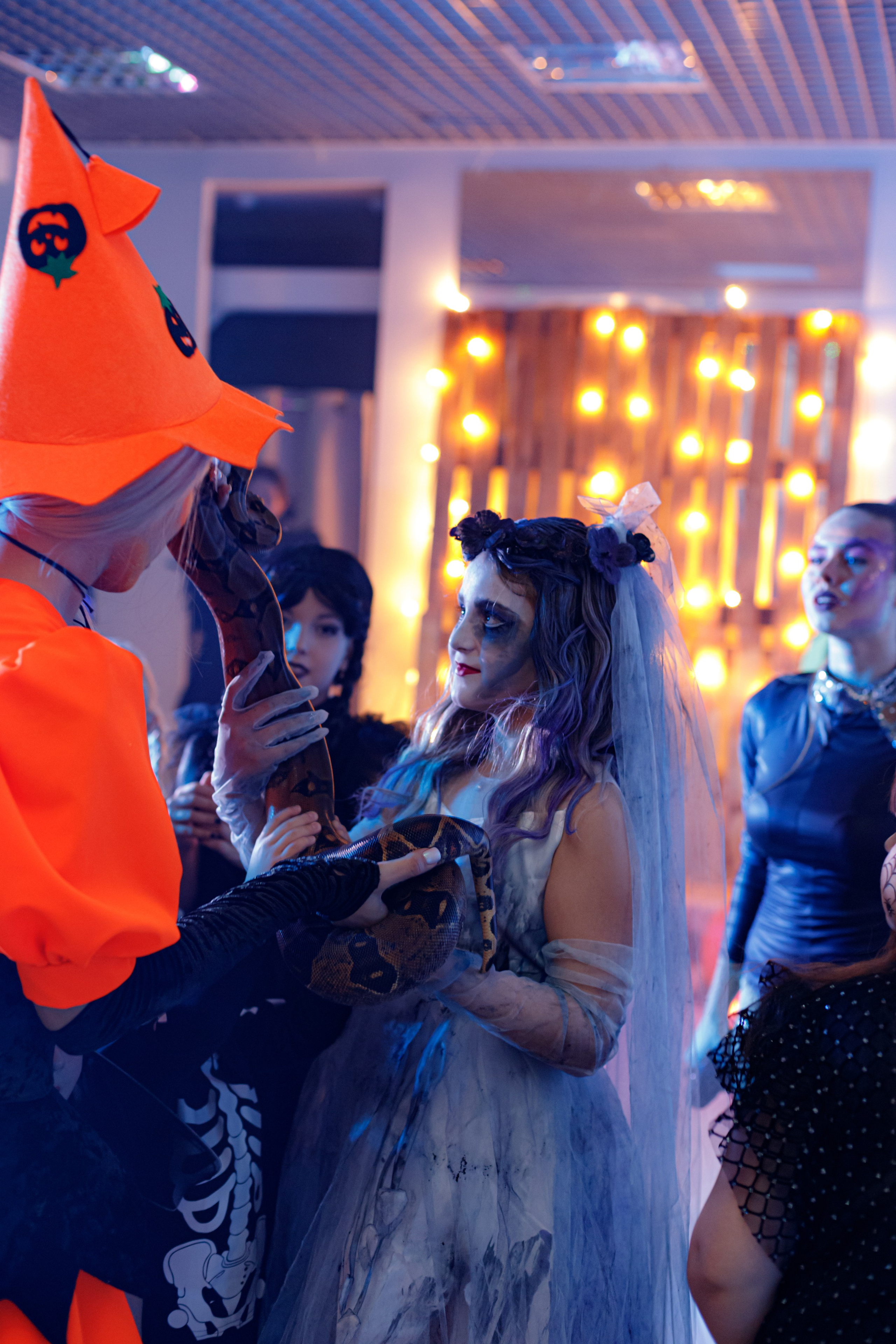 HALLOWEEN. Photokarish