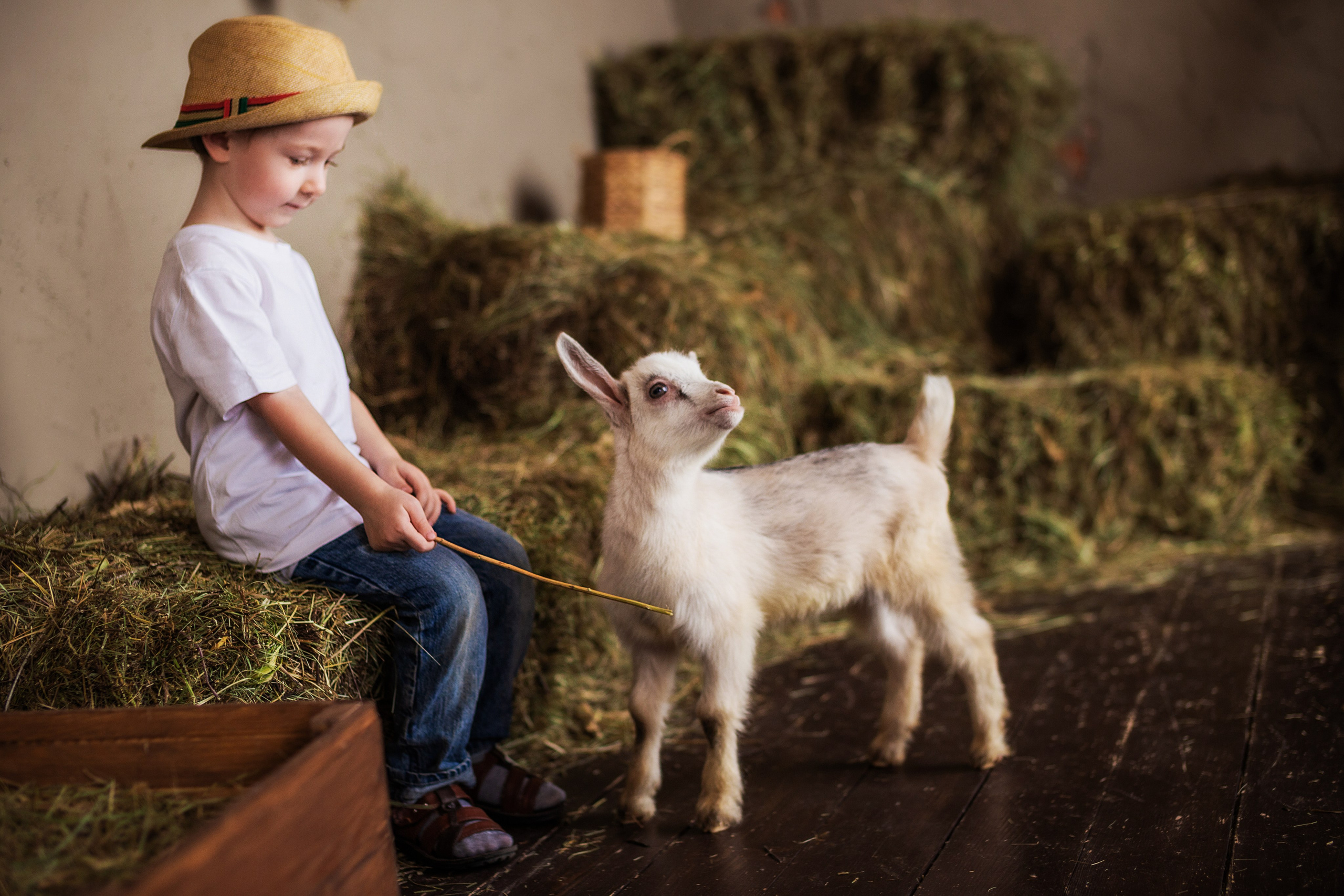 Дети и животные…самый милый альбом. Семейный фотограф в Саратове