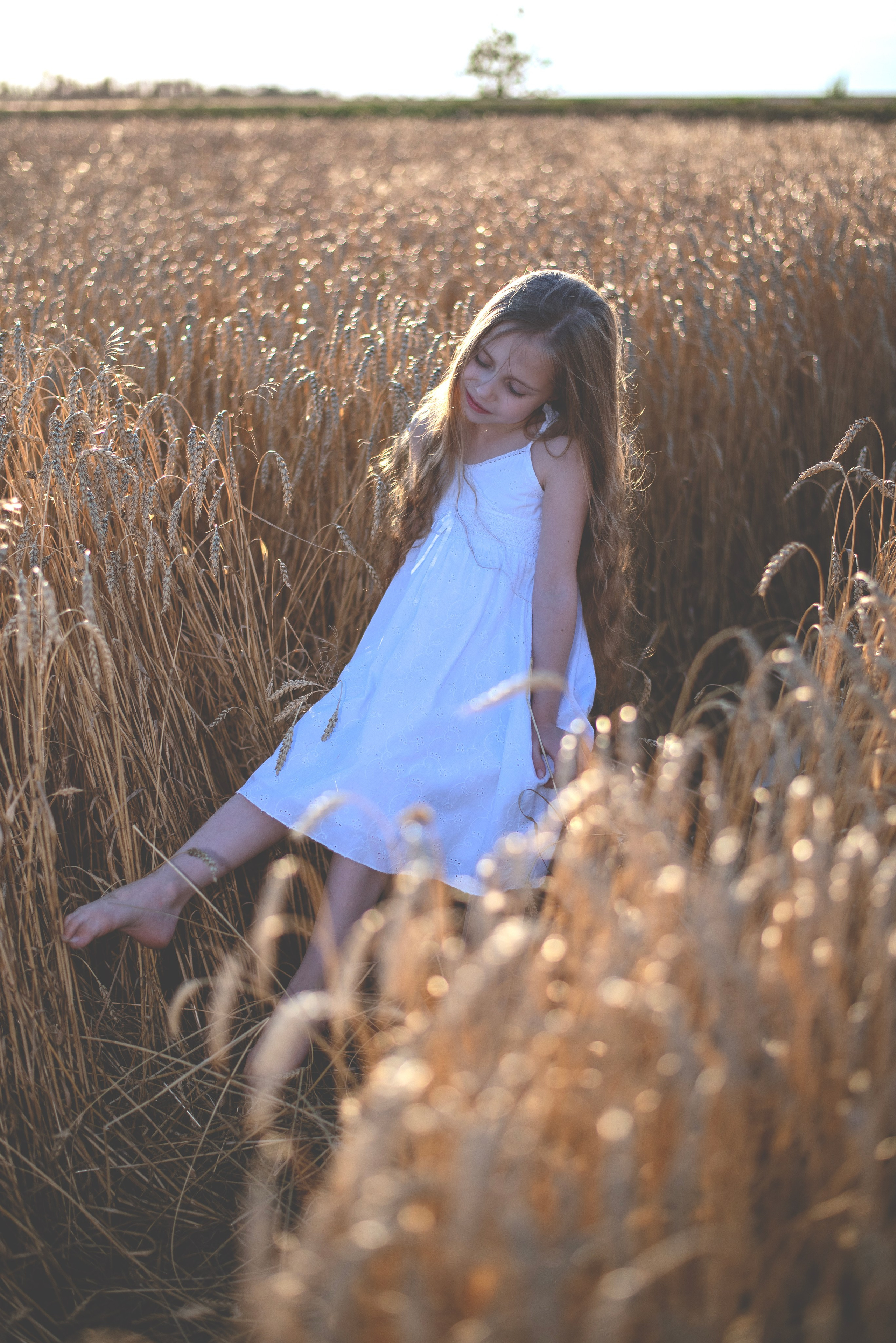 Пшеница. Главная