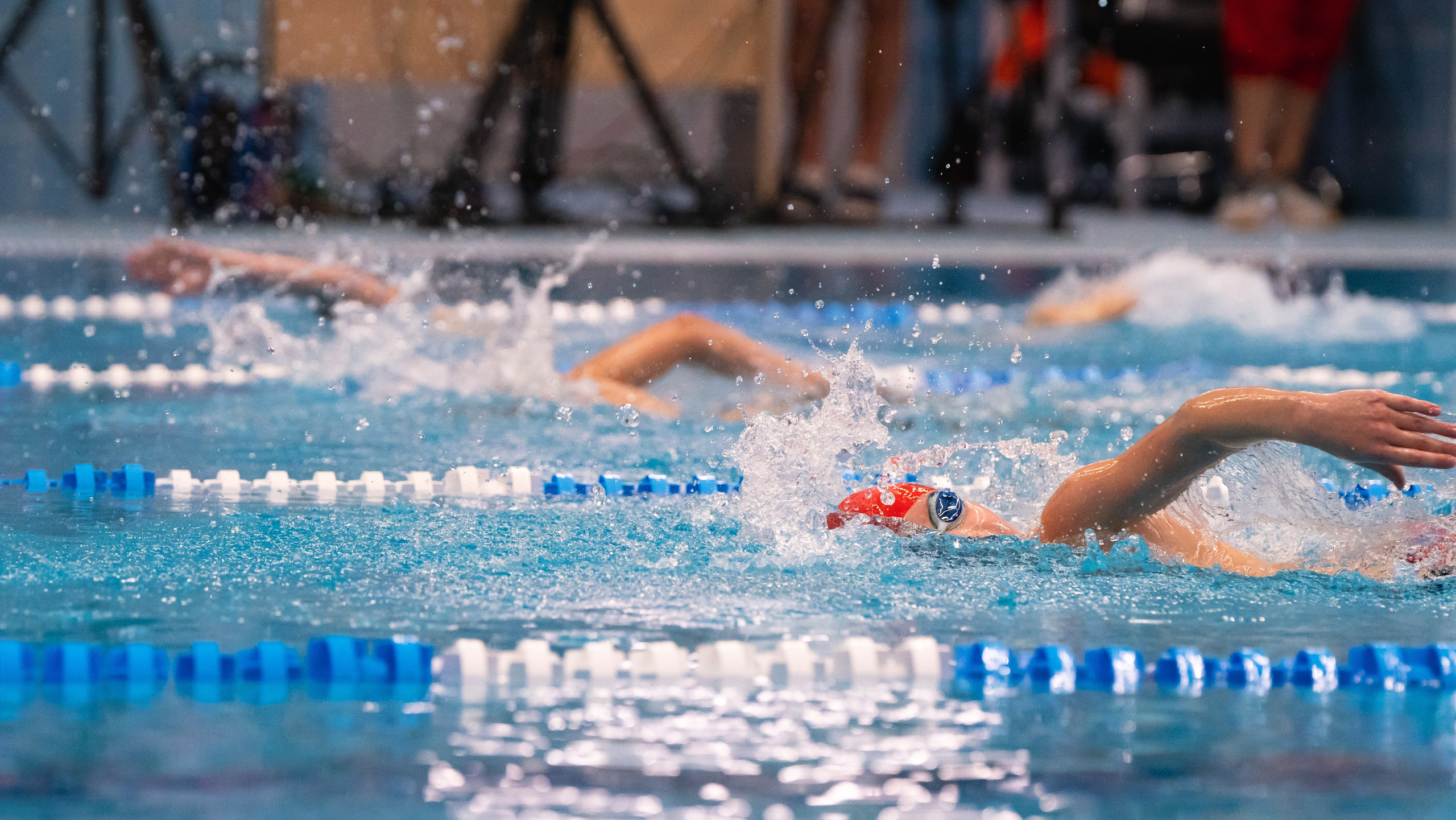 Открытый новогодний турнир по плаванию «Сила воды», 2025. Фотограф и видеооператор Екатерина Гнатюк