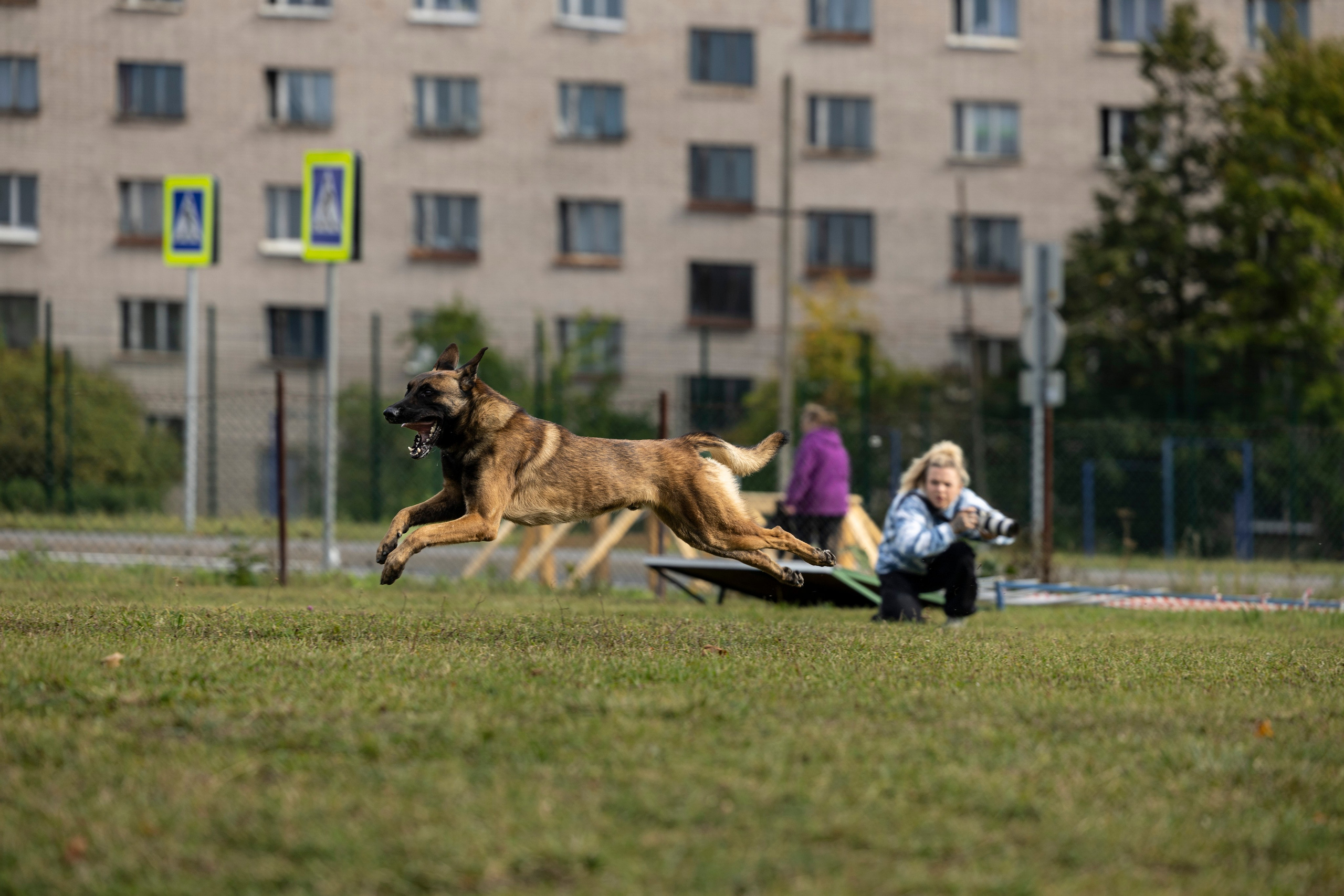 Испытания по Мондьорингу г. Пушкин. Фотограф-анималист Анна Маринич