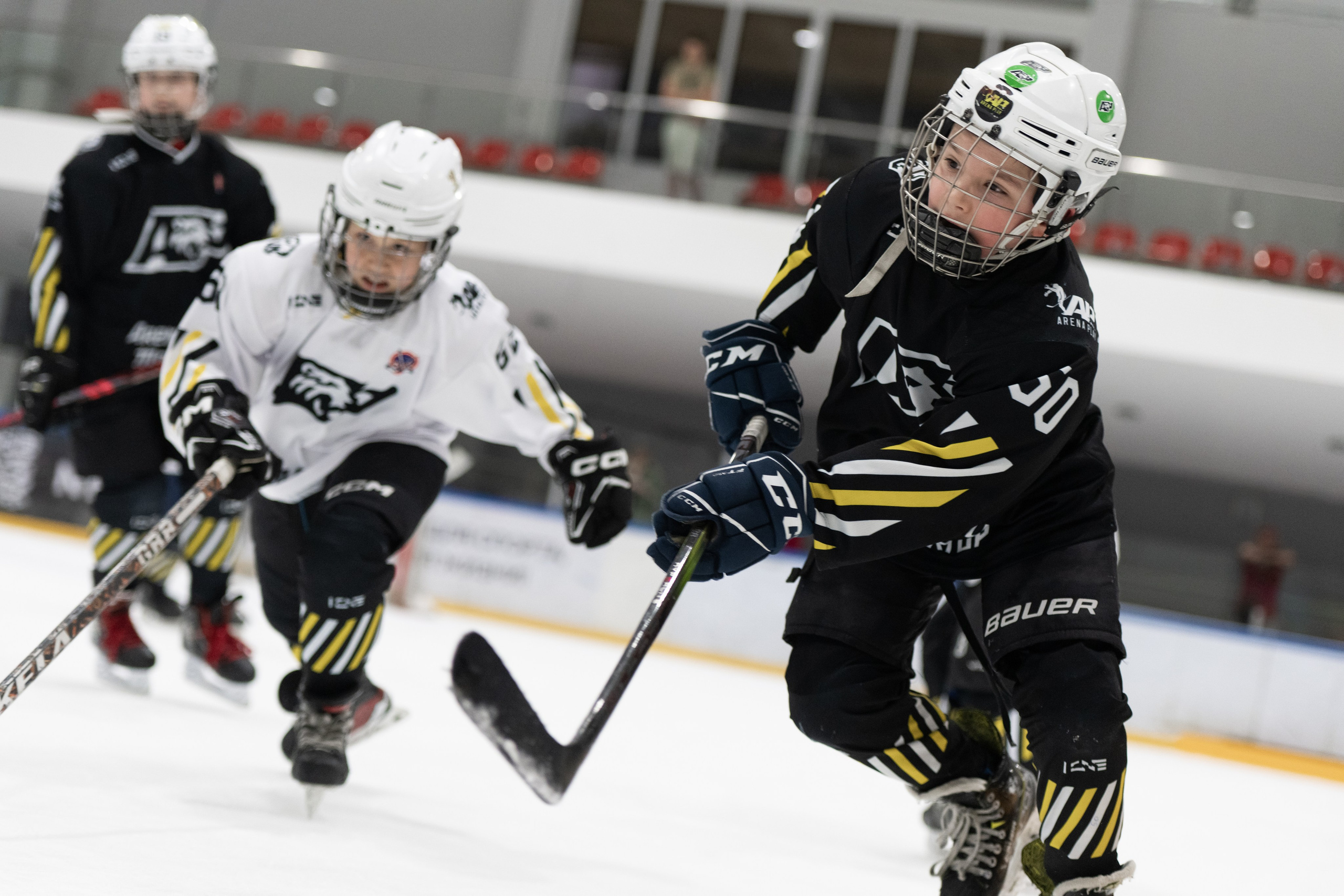 МК Артемия ПАНАРИНА. ДИНА МИХНЕВА спортивный фотограф Москва