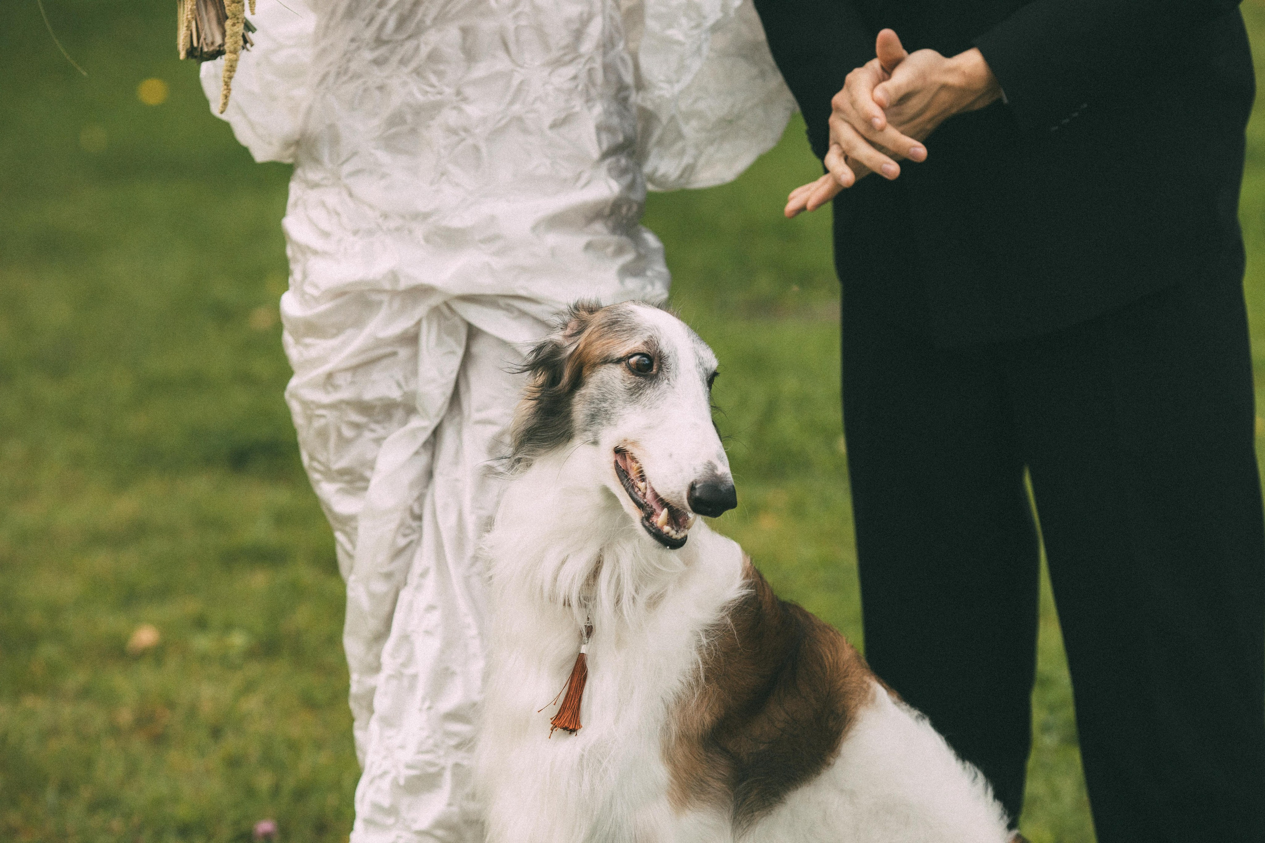 Аристократия. Нияз Саляхов фотограф Казань Татарстан