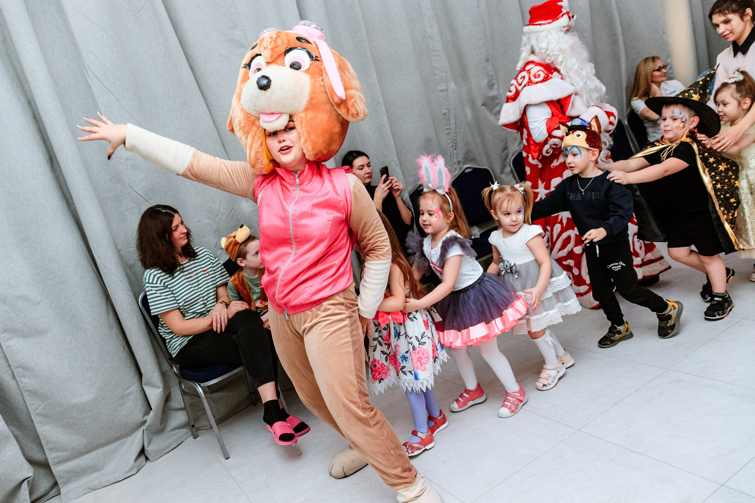 Знайка. Щенячий новый год. Фотограф — Новосибирск