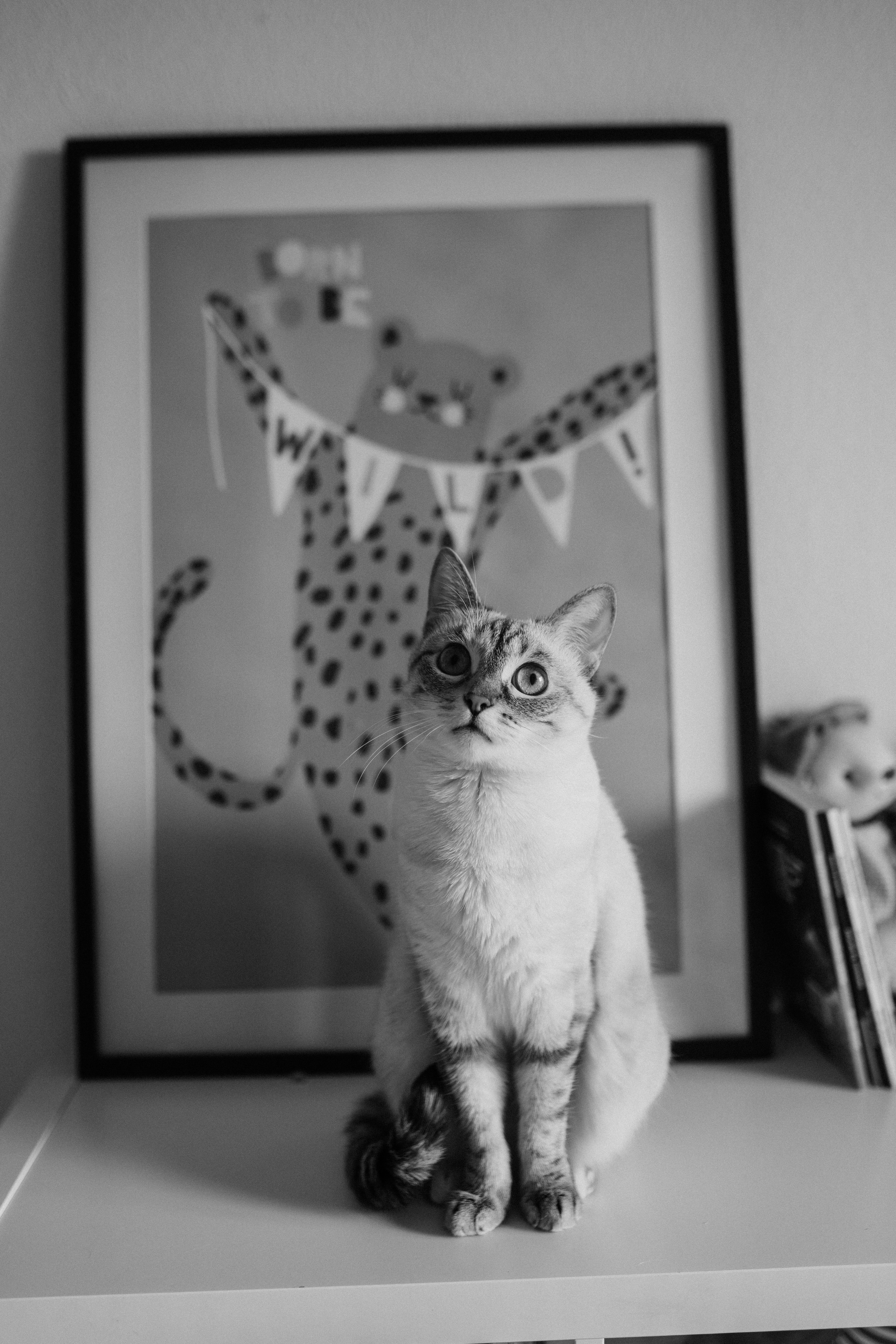 Костя. Семейный фотограф Москва