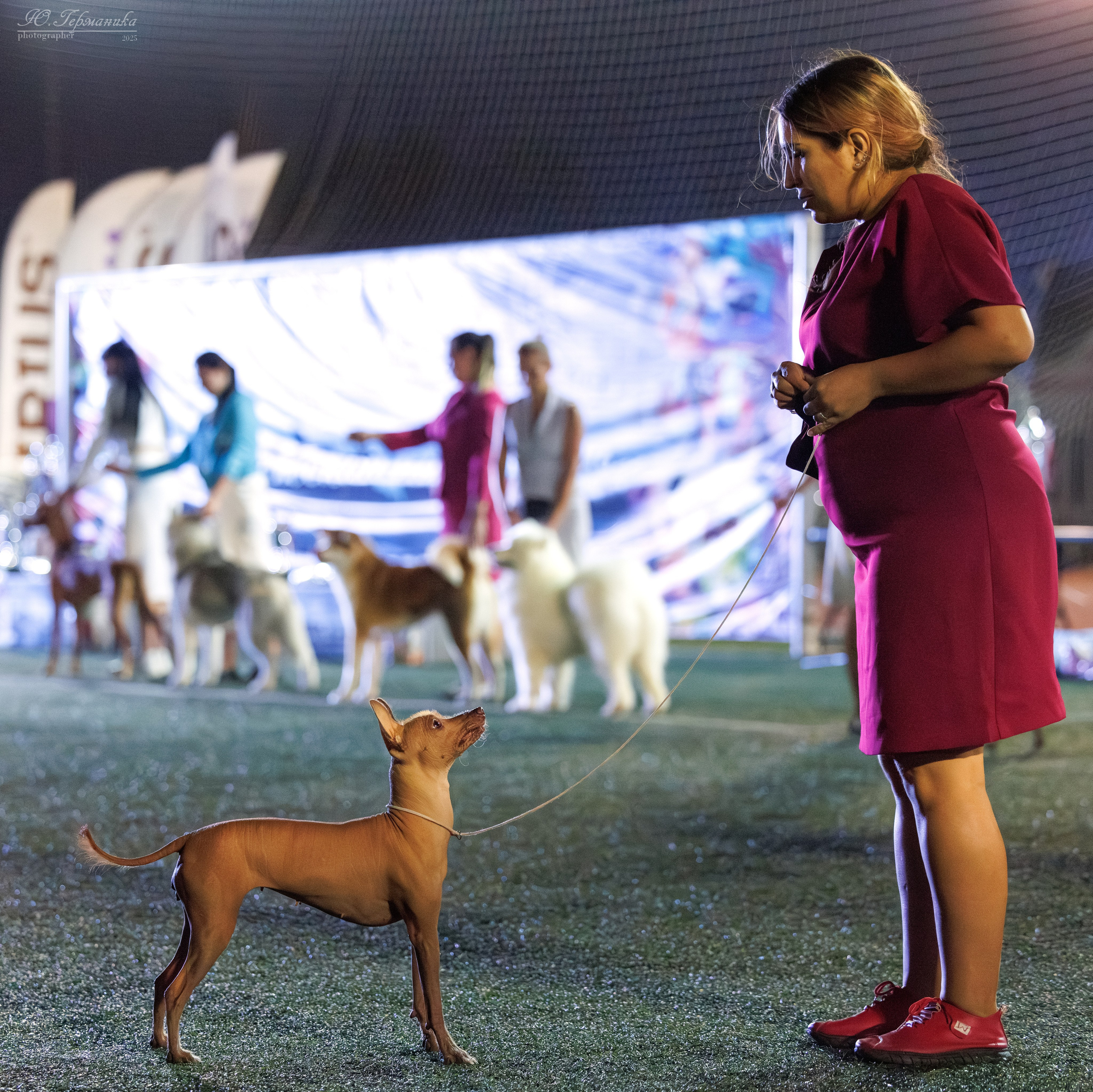 Калининград 25-27.07 Волгоград 1-3.08 2025. Фотограф-анималист Юлия Германика