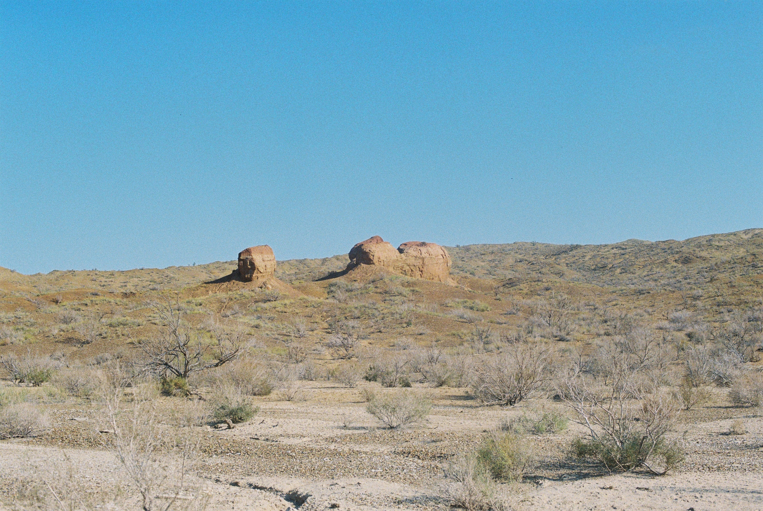 Алтын эмель/Или/Курты, плёнка 2025. Фотограф в Алматы — Алексей Коньков | Репортаж, свадьбы, портреты