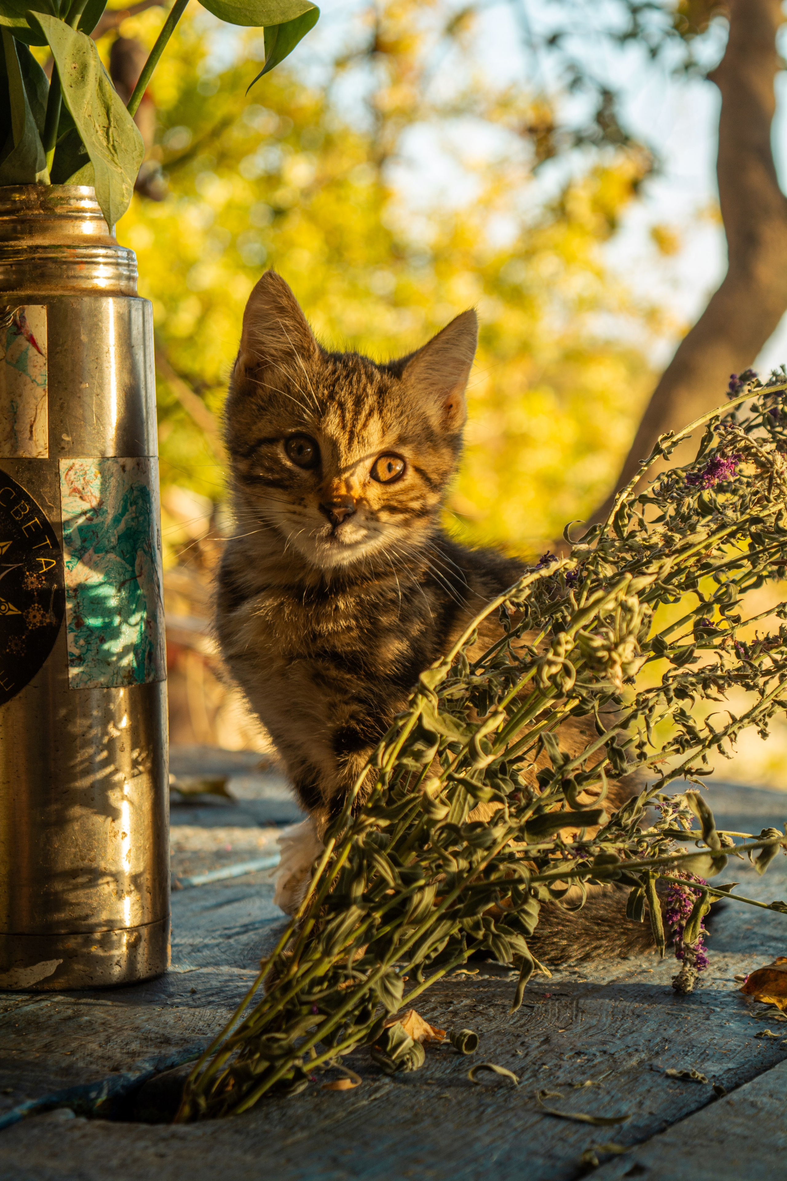 Творческие проекты. Степан Александрович | Фотограф | Санкт-Петербург