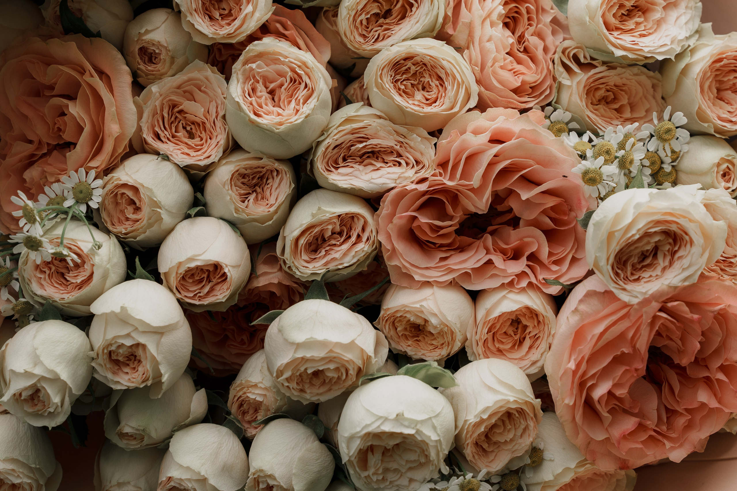 Анна и Владислав. Фотограф в Москве и России