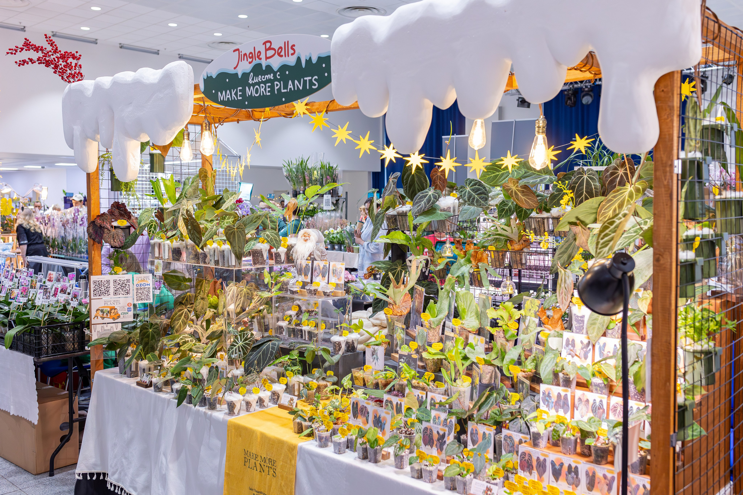 Орхидиум 12.2025. Александра Куликова фотограф, Москва