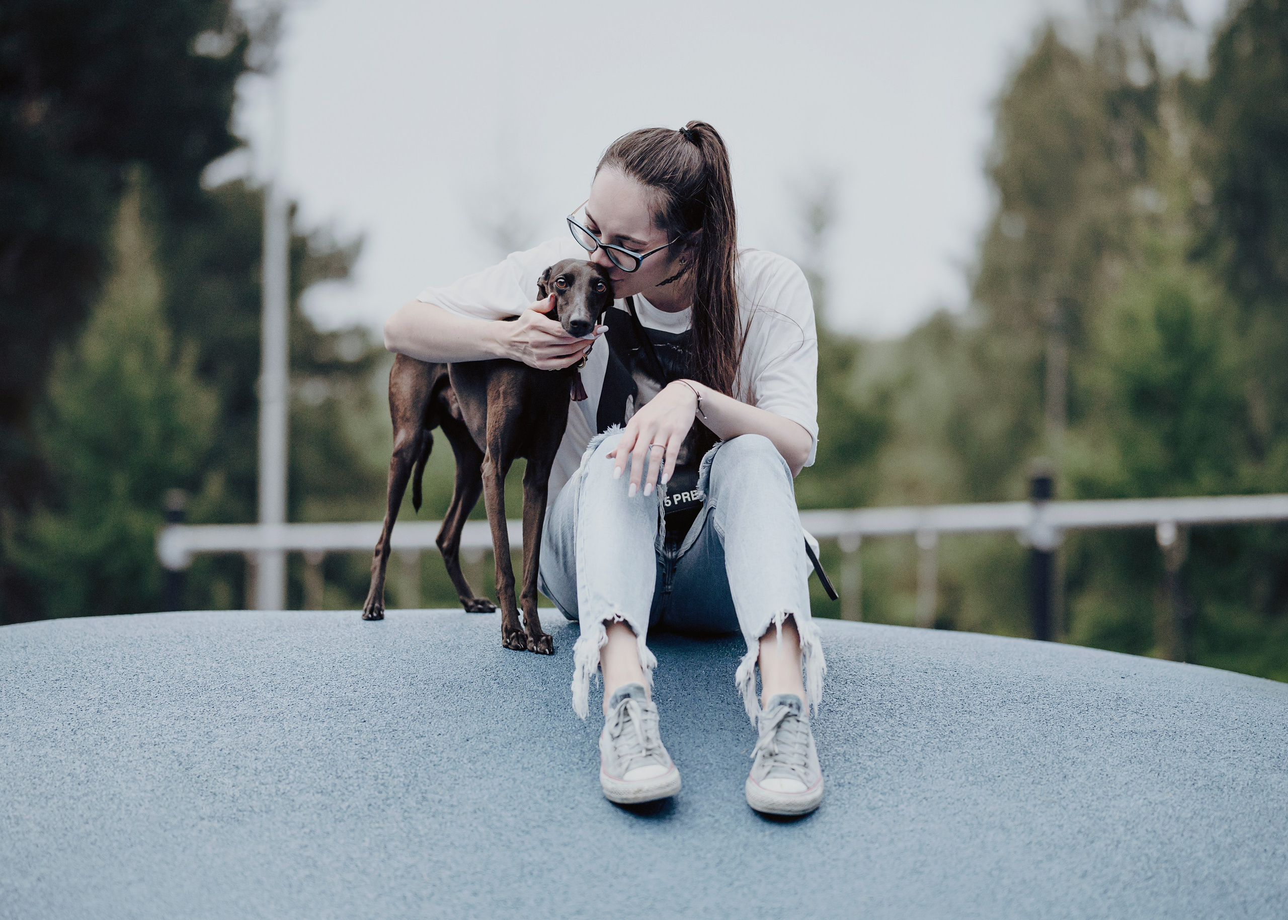 Дофи. Фотограф- анималист Александра Матвеева