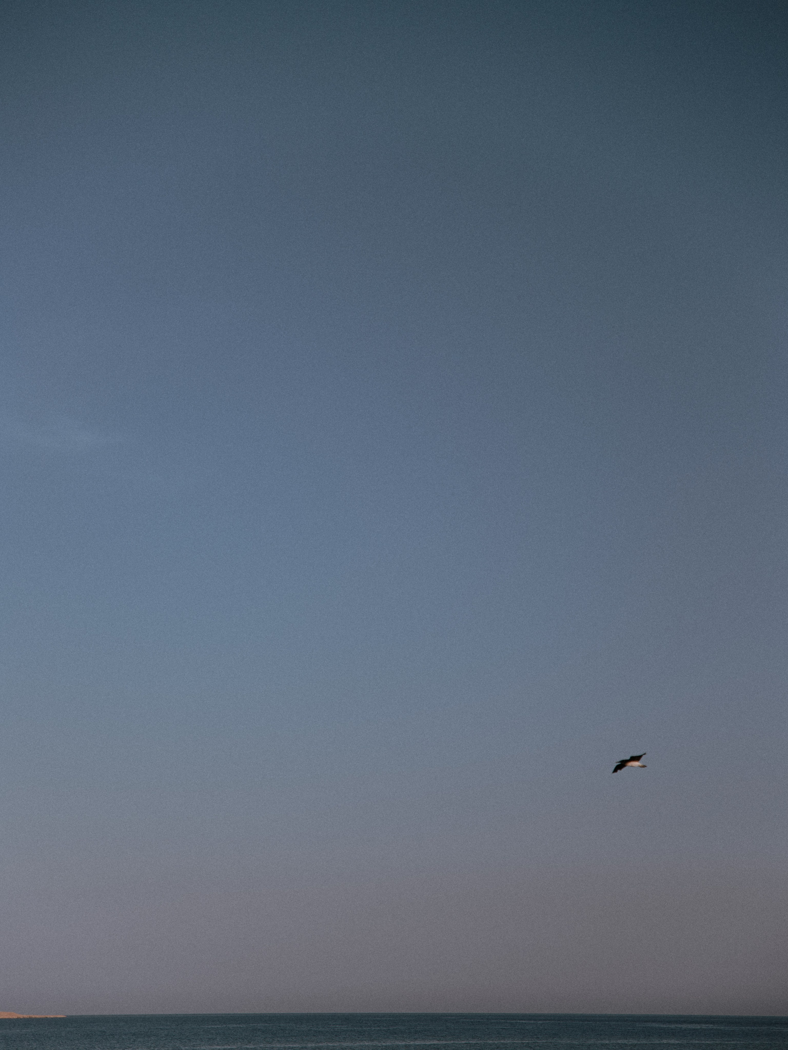 Природа. Jorgis Talè — photographer, kind person, teacher of arts and other mag