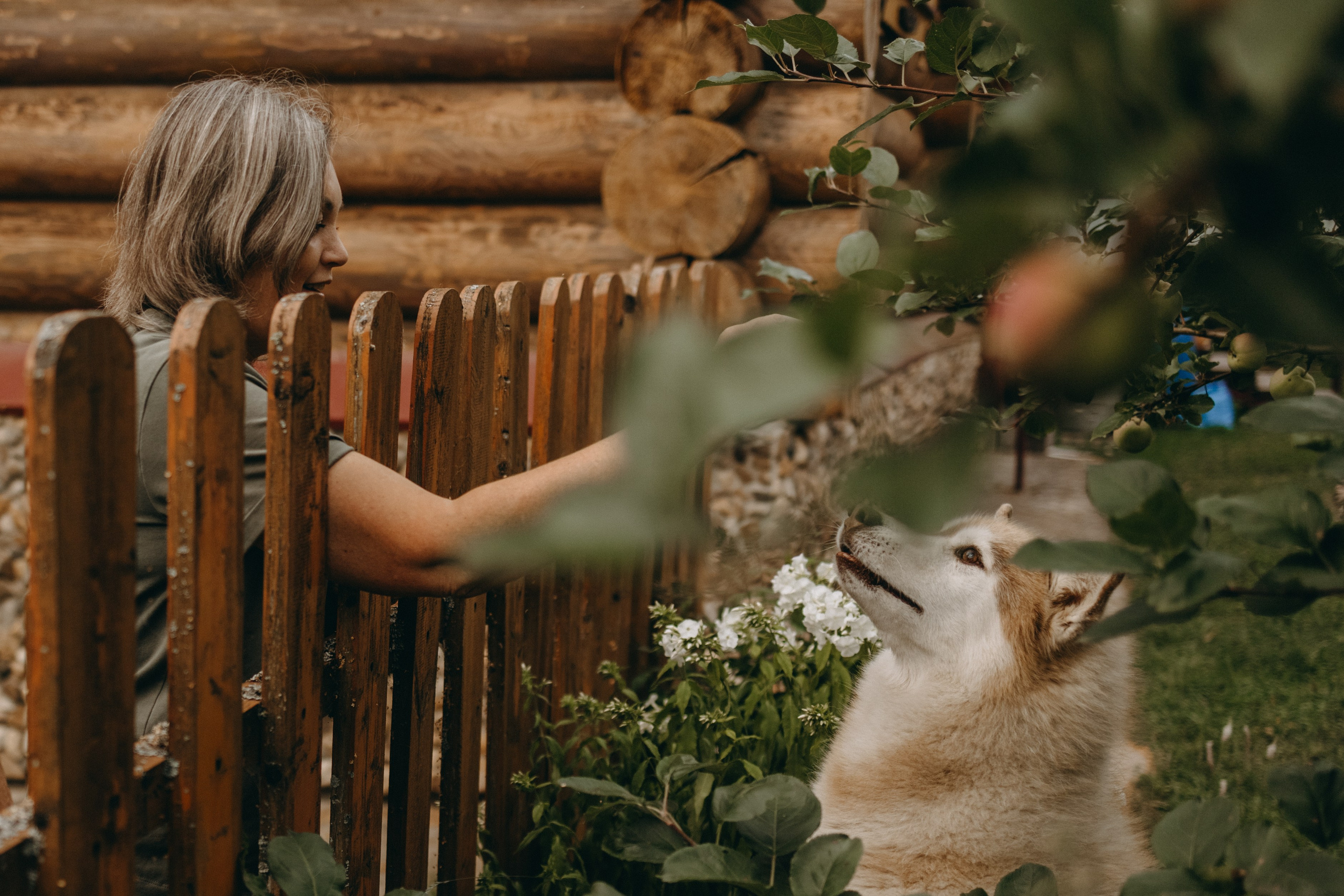 Дом у реки. Фотограф — Анималист | Санкт-Петербург