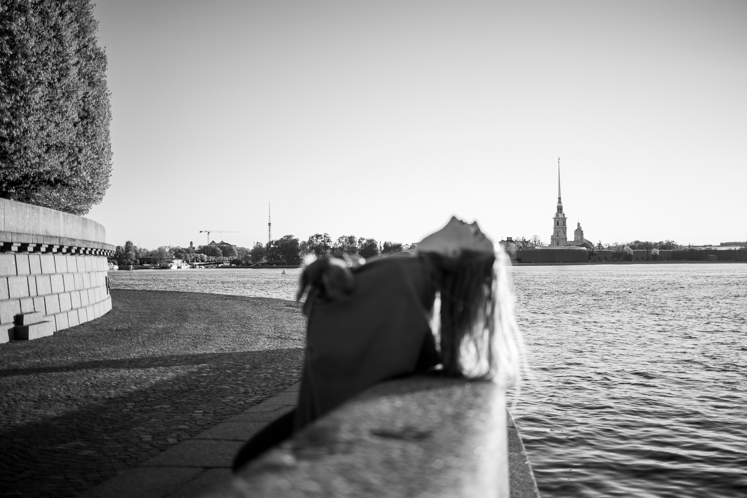 Аня, Стеша и Степан. Фотограф — Анималист | Санкт-Петербург