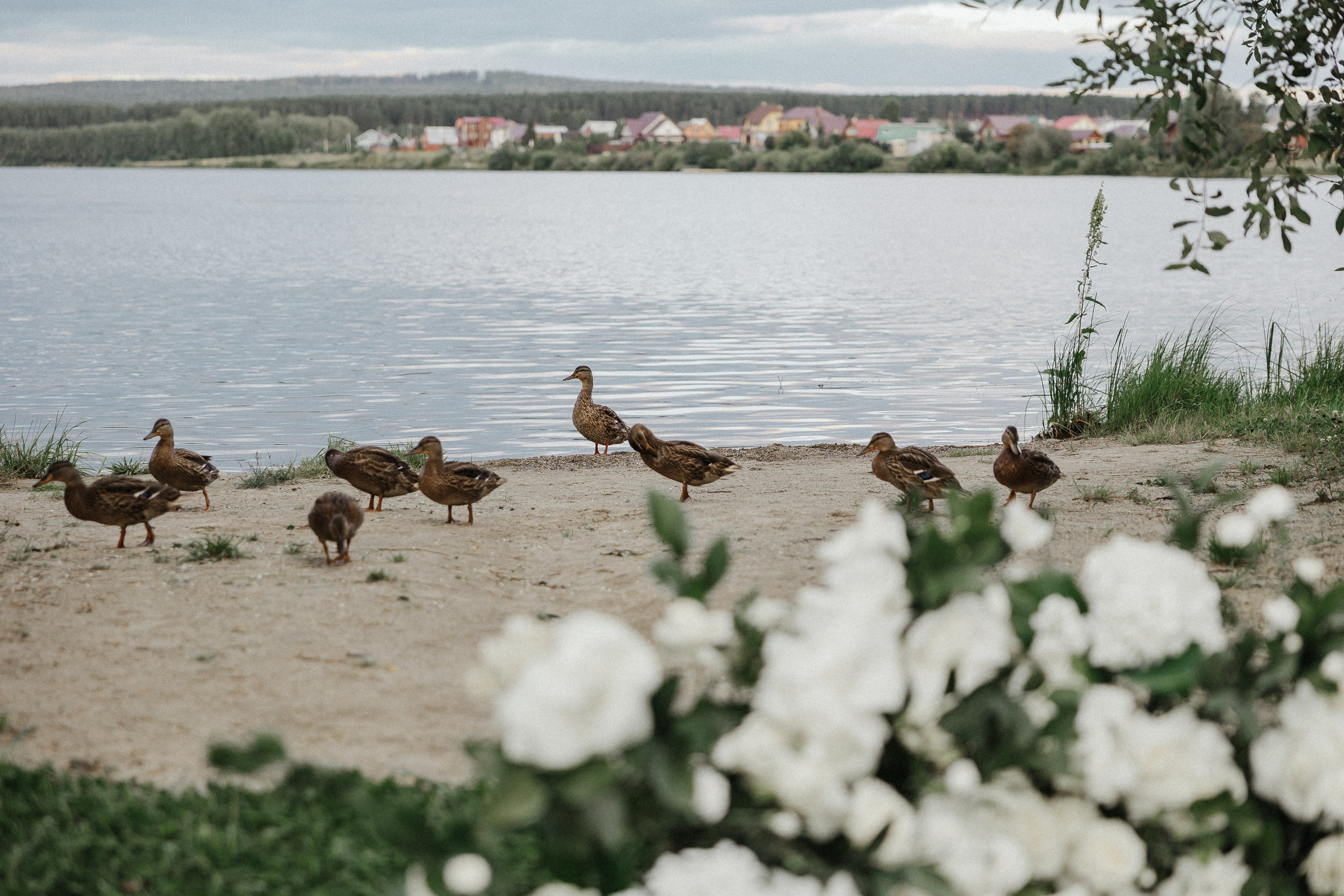 Никита и Лера. Свадебный фотограф в Москве и Екатеринбурге