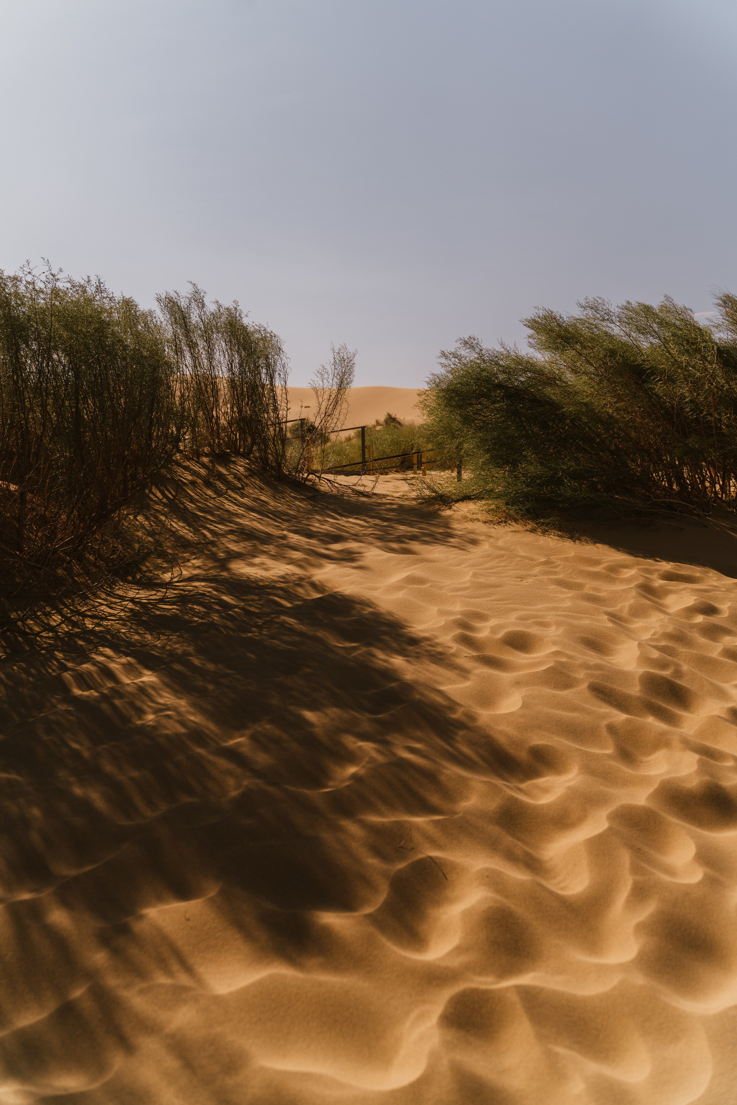 Пейзаж. Фотограф Кантемир Бараов