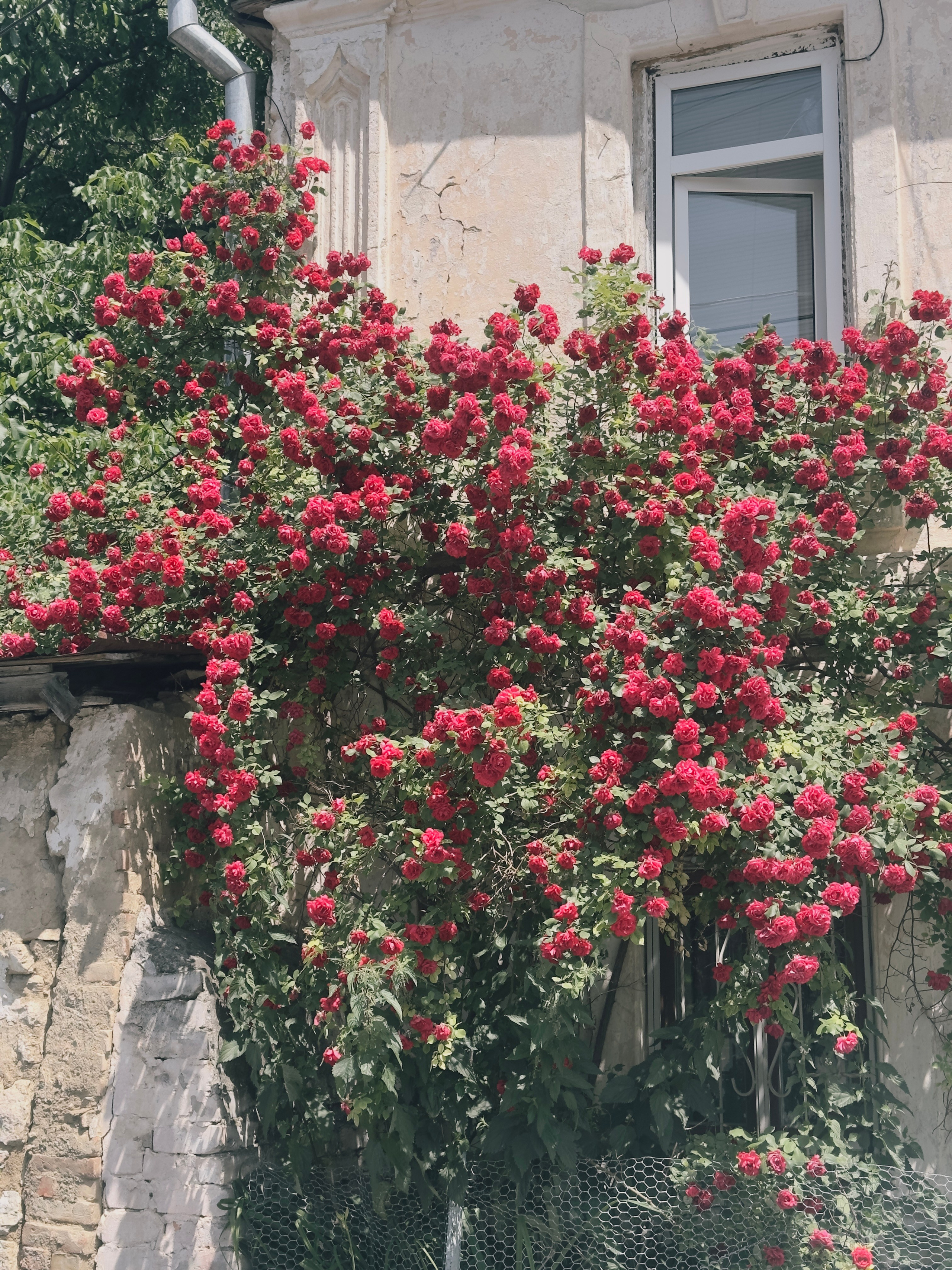 Флора и фауна. Смотри, красота!