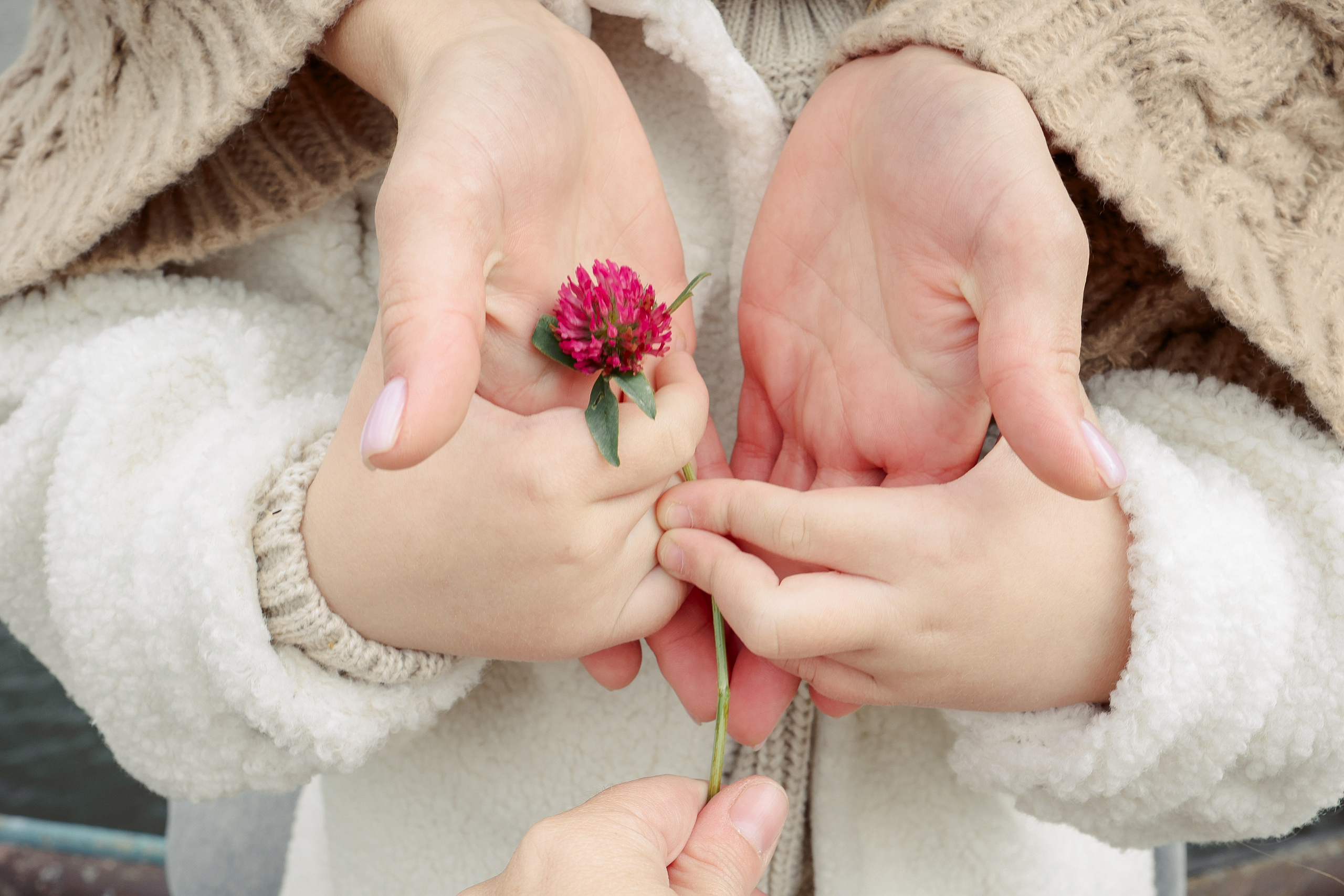 Осенняя прогулка. Фотограф на Новой риге и в Москве Елена Елис