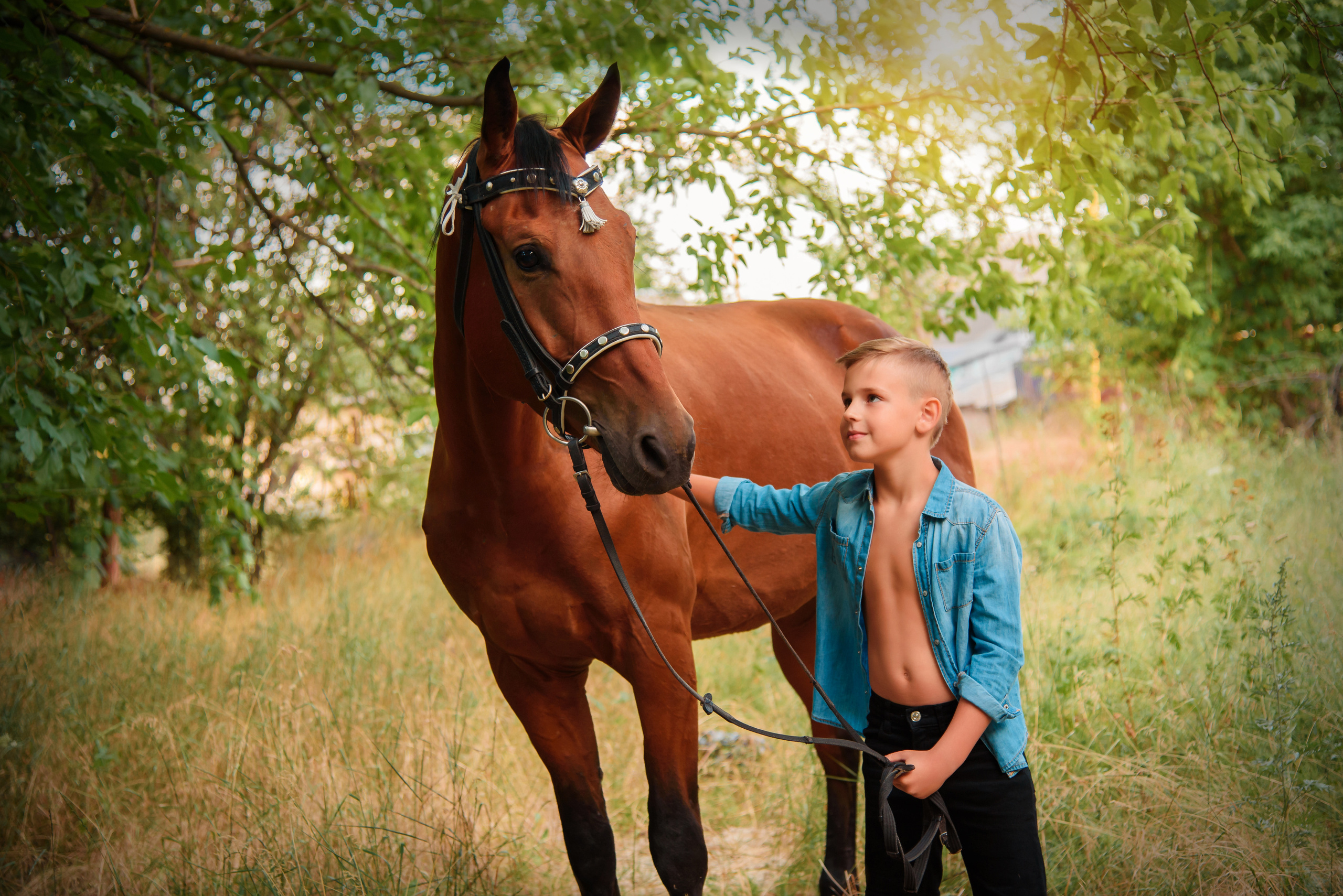 Филипчук Радомир. Model base