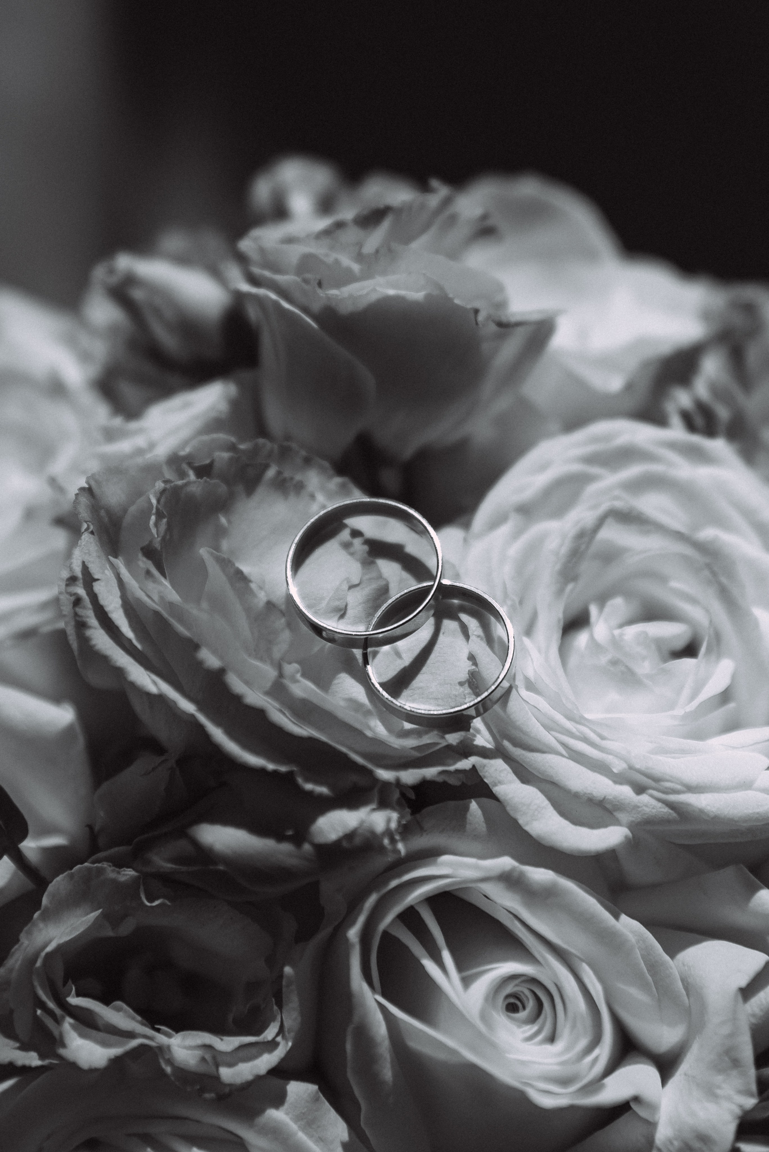 Роман + Ольга. Свадебный и семейный фотограф в Волгограде Олеся Лисицкая