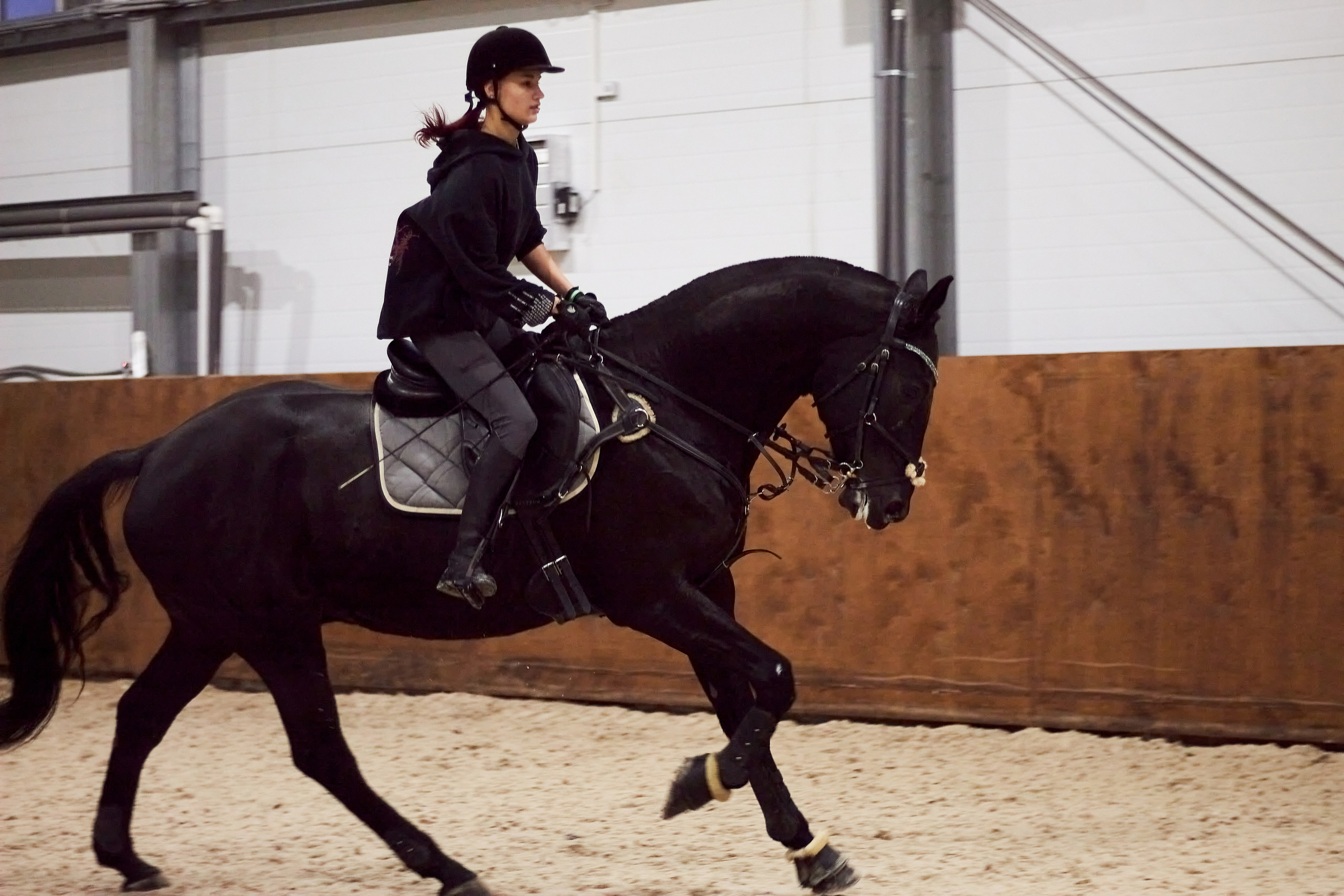 Фотосессии с животными в Туле. Фотограф анималист — Тула, Москва