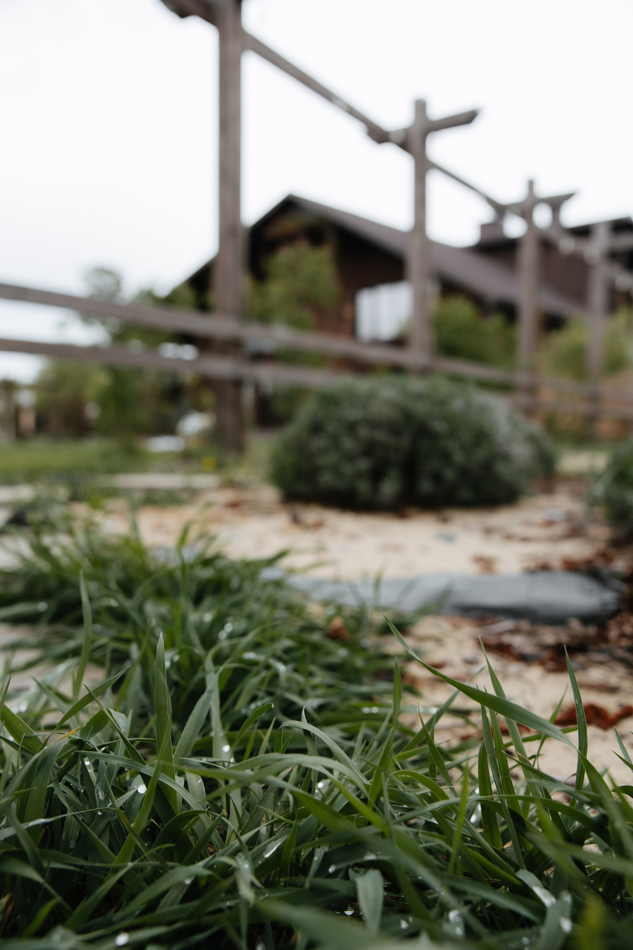 Камила и Сергей. Свадьба. Алена Бадамшина — свадебный фотограф Воронеж / Москва