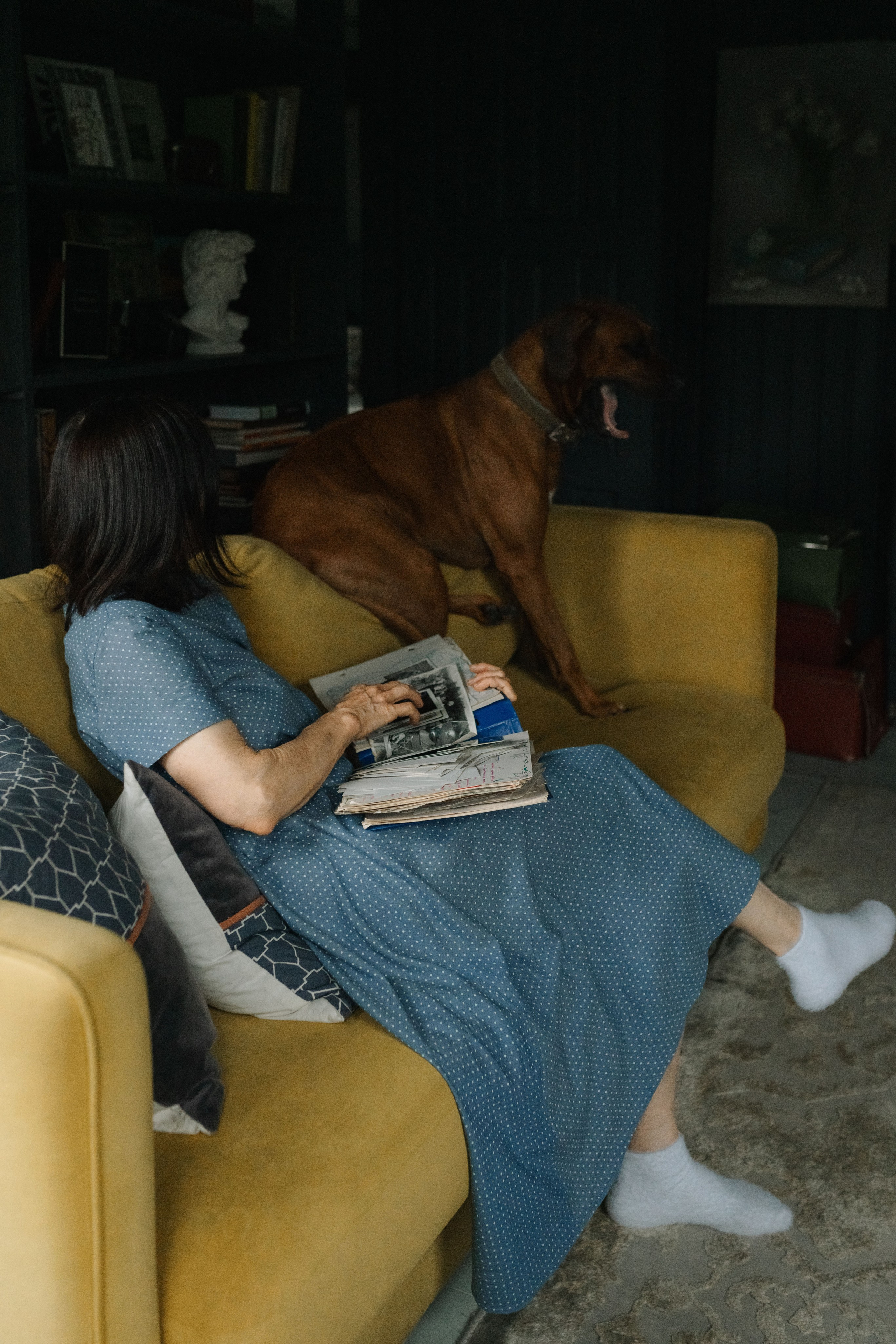 Вечер воспоминаний. Семейный фотограф в Москве Анастасия Скоголева