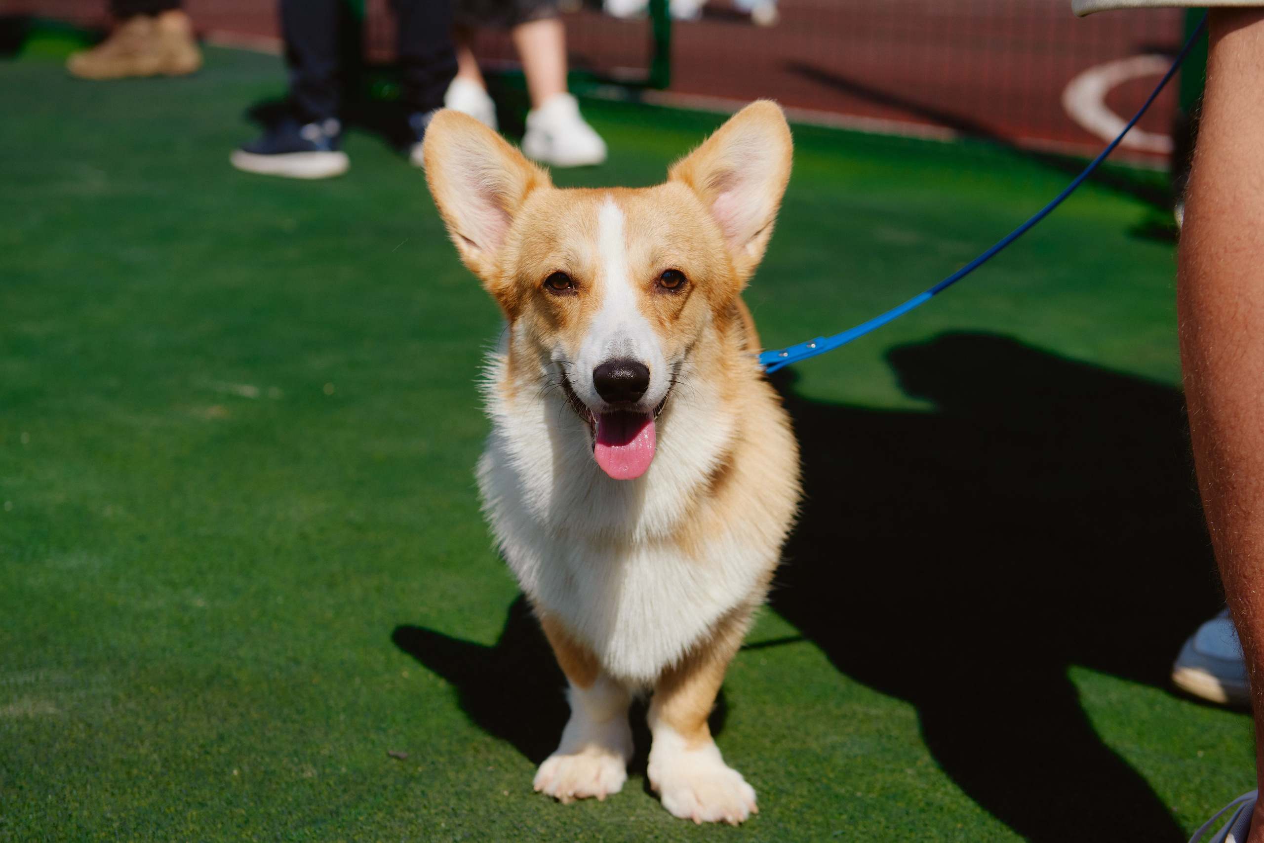 Седельники Park. Фотограф Роман Арыкин Екатеринбург