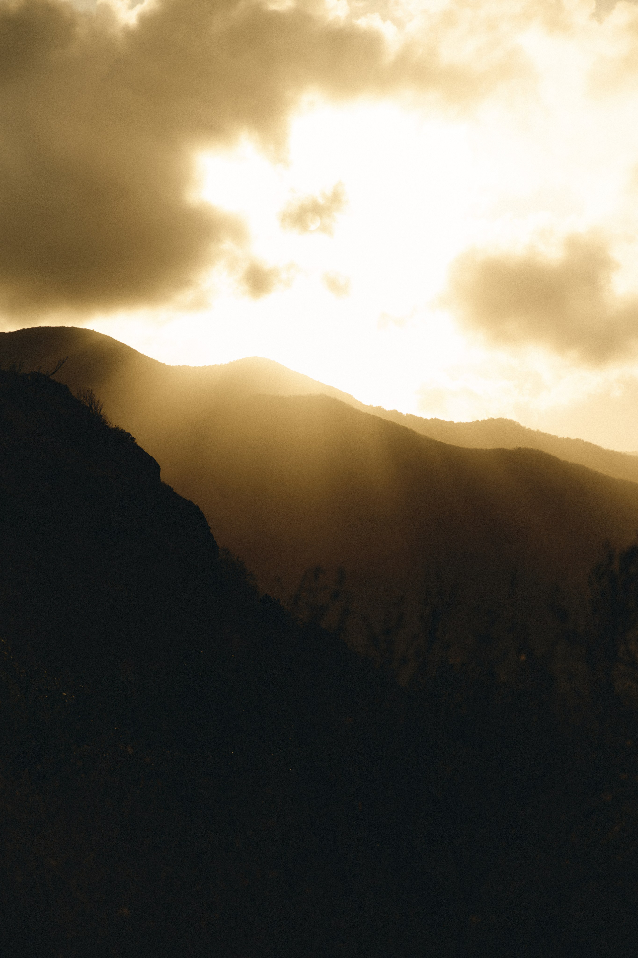 U Magazine x Выездная редакция. Фотограф Сурков Никита