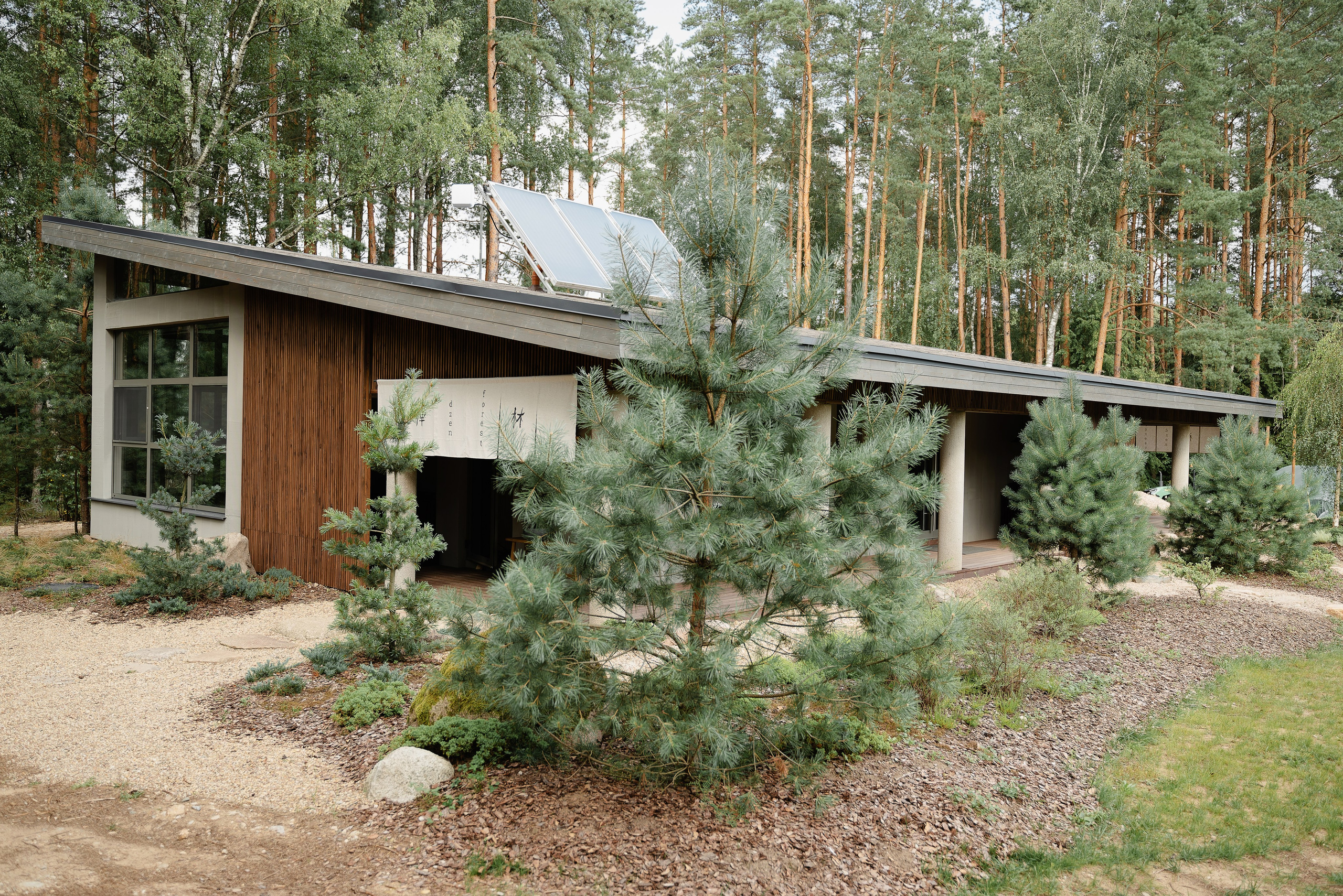 DZEN FOREST. Репортажный и свадебный фотограф в Минске Шамко Анатолий