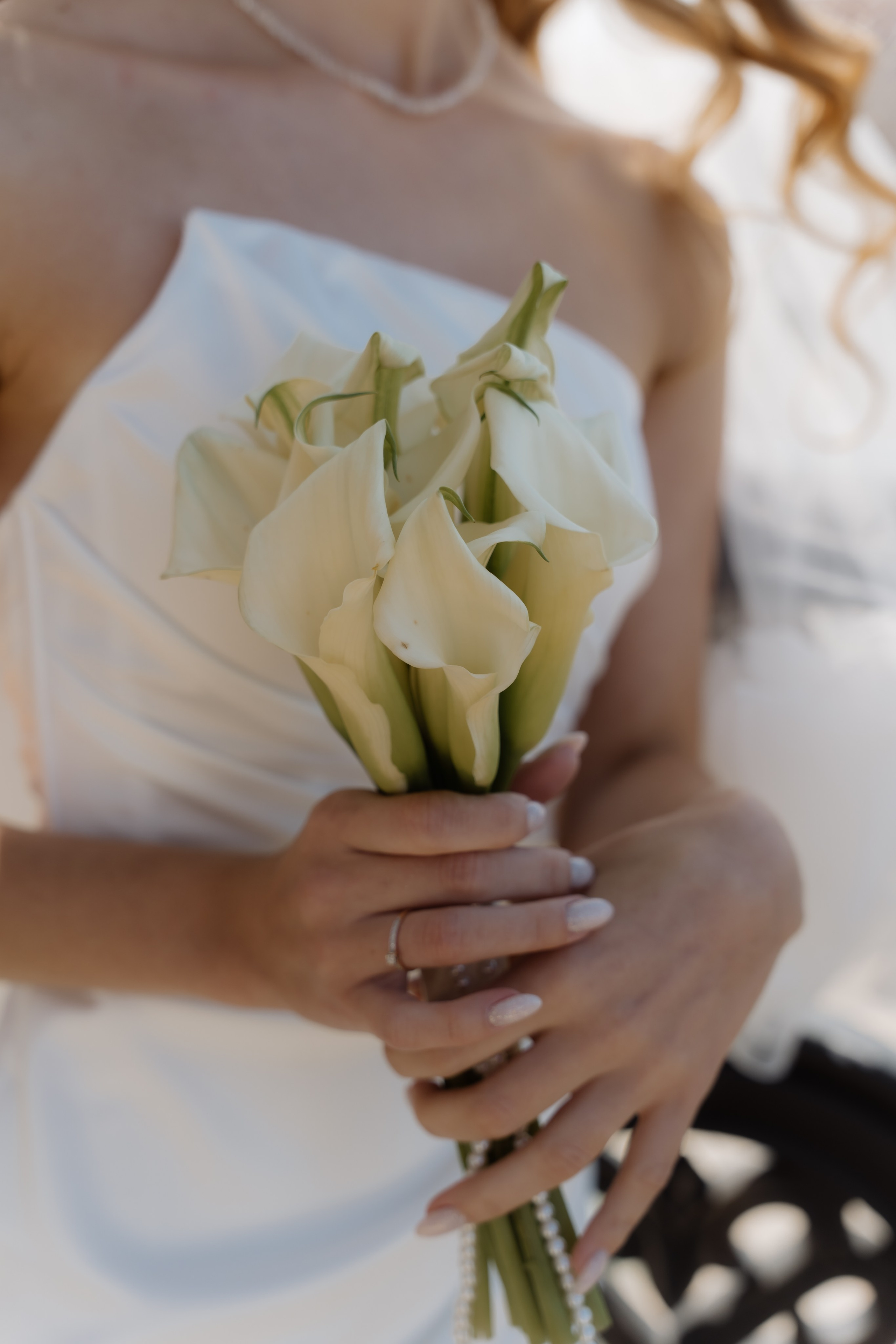 Пётр и Вероника. Главная