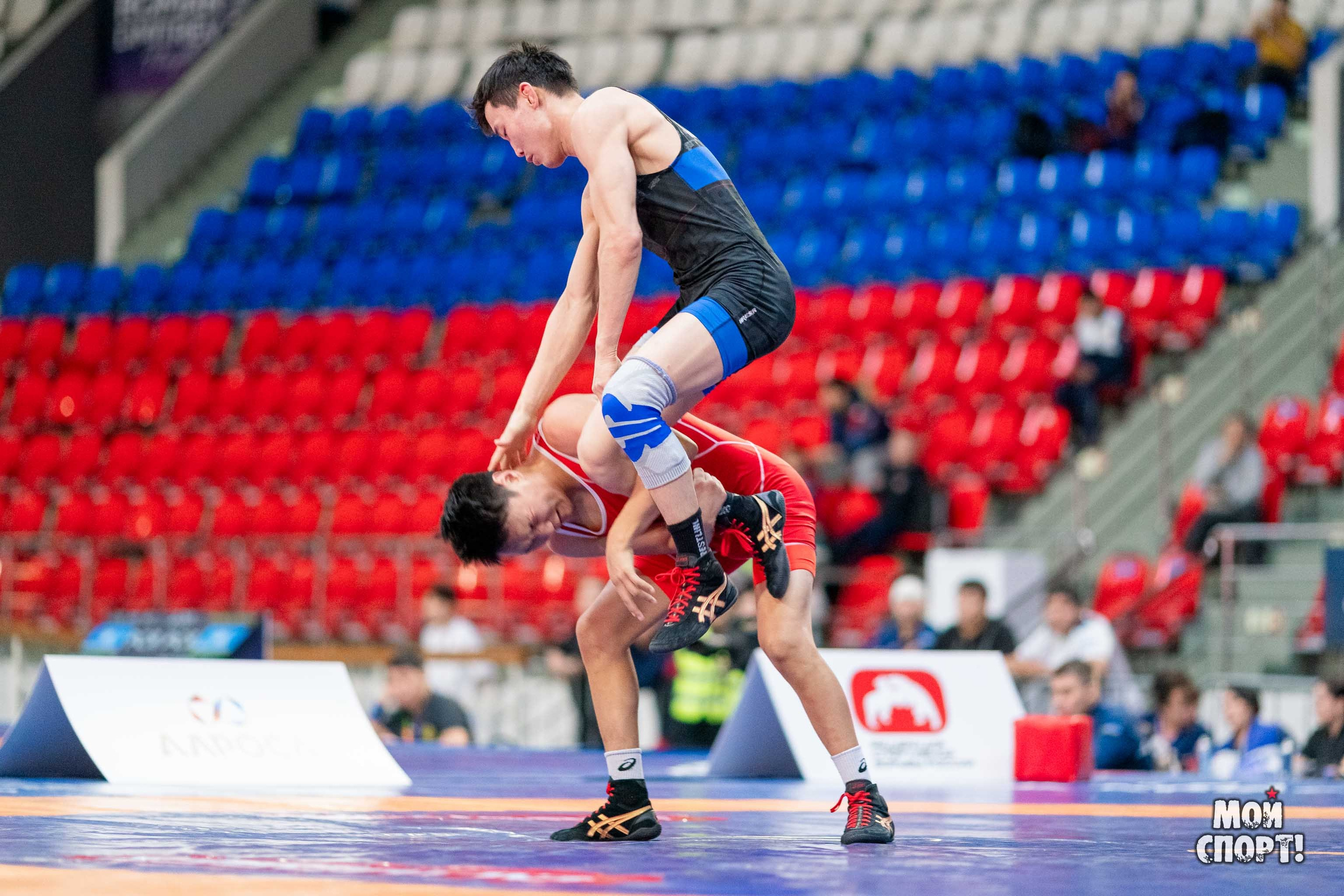 XII Международные соревнования по спортивной борьбе пам. Р. М. Дмитриева. Студия «Мой Спорт!» — все о спорте в Якутии