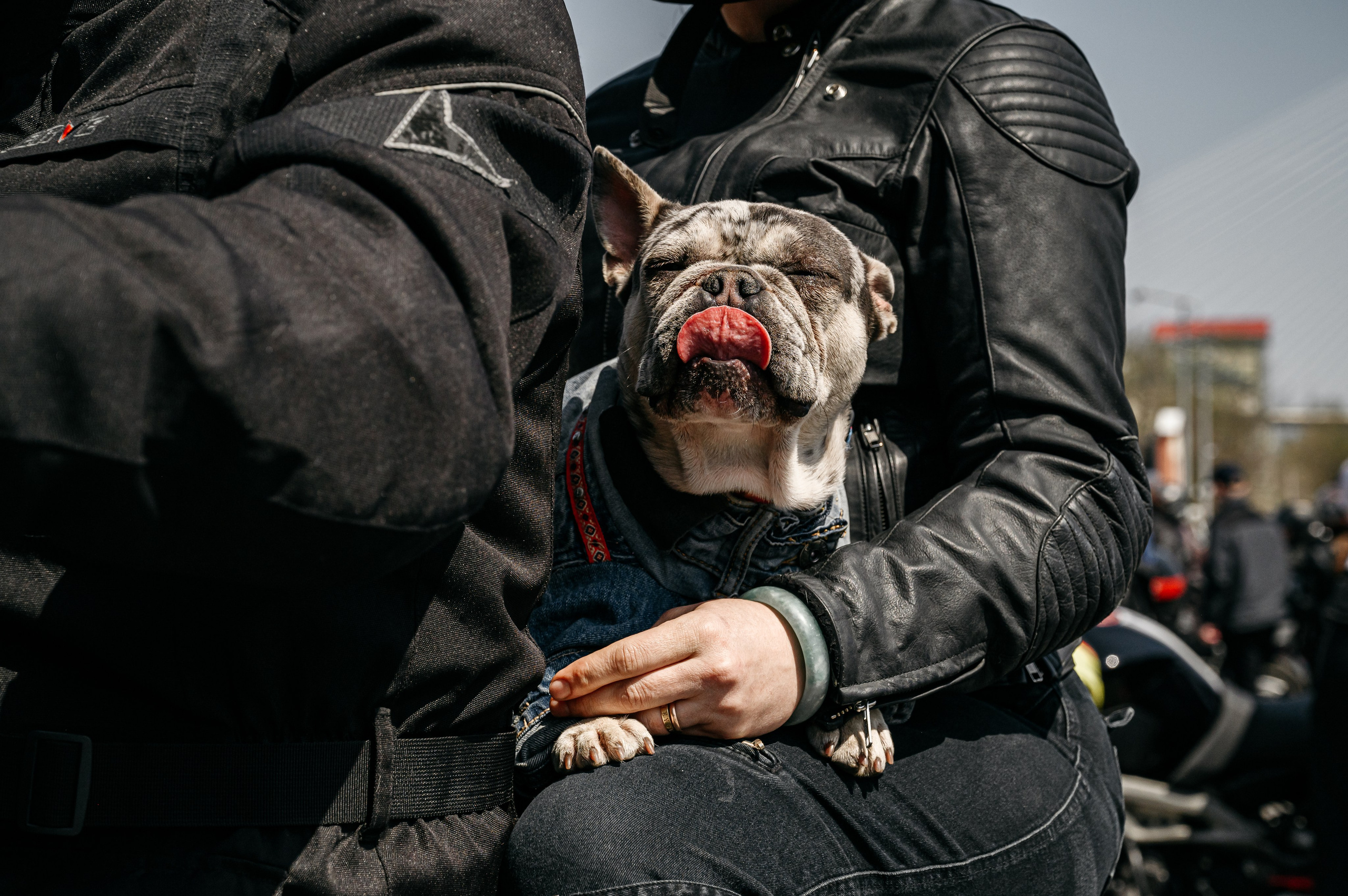 Открытие байкерского сезона. Фотограф Владивосток. Игорь Кирсанов