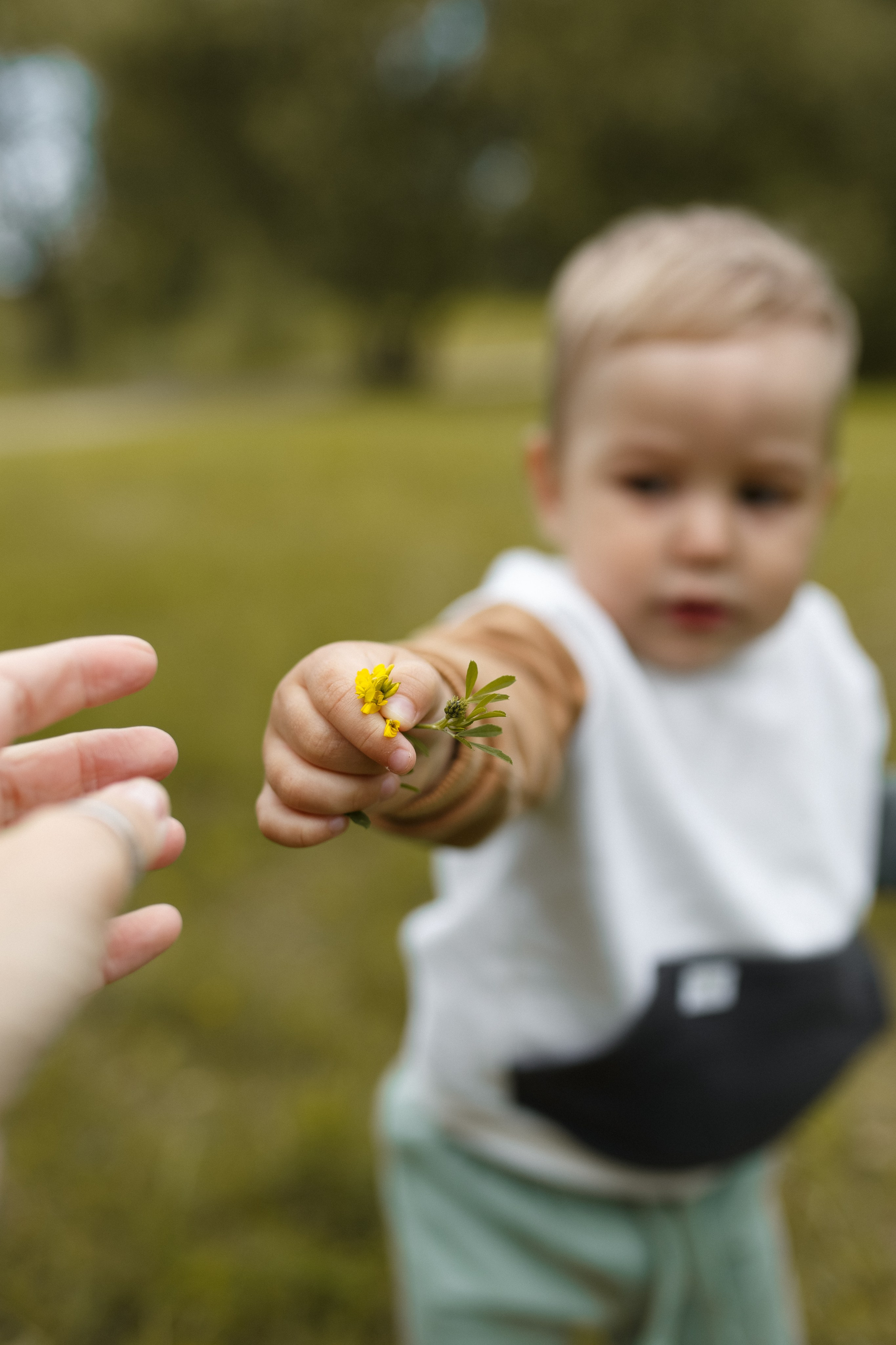 Алина с семьей. Семейный и женский фотограф в Москве/Твери. Меня зовут Яна Гош