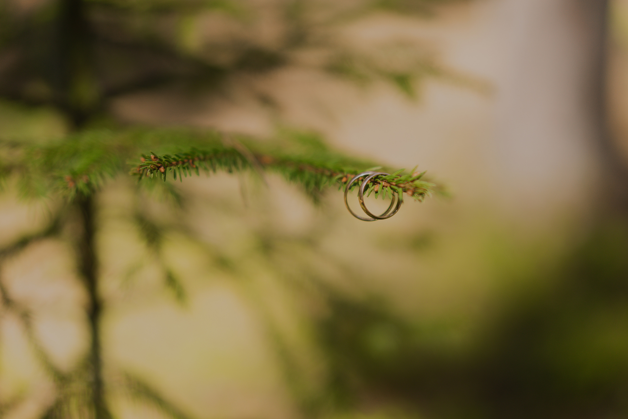 Анастасия и Максим. Фотограф Кристина Ерохина