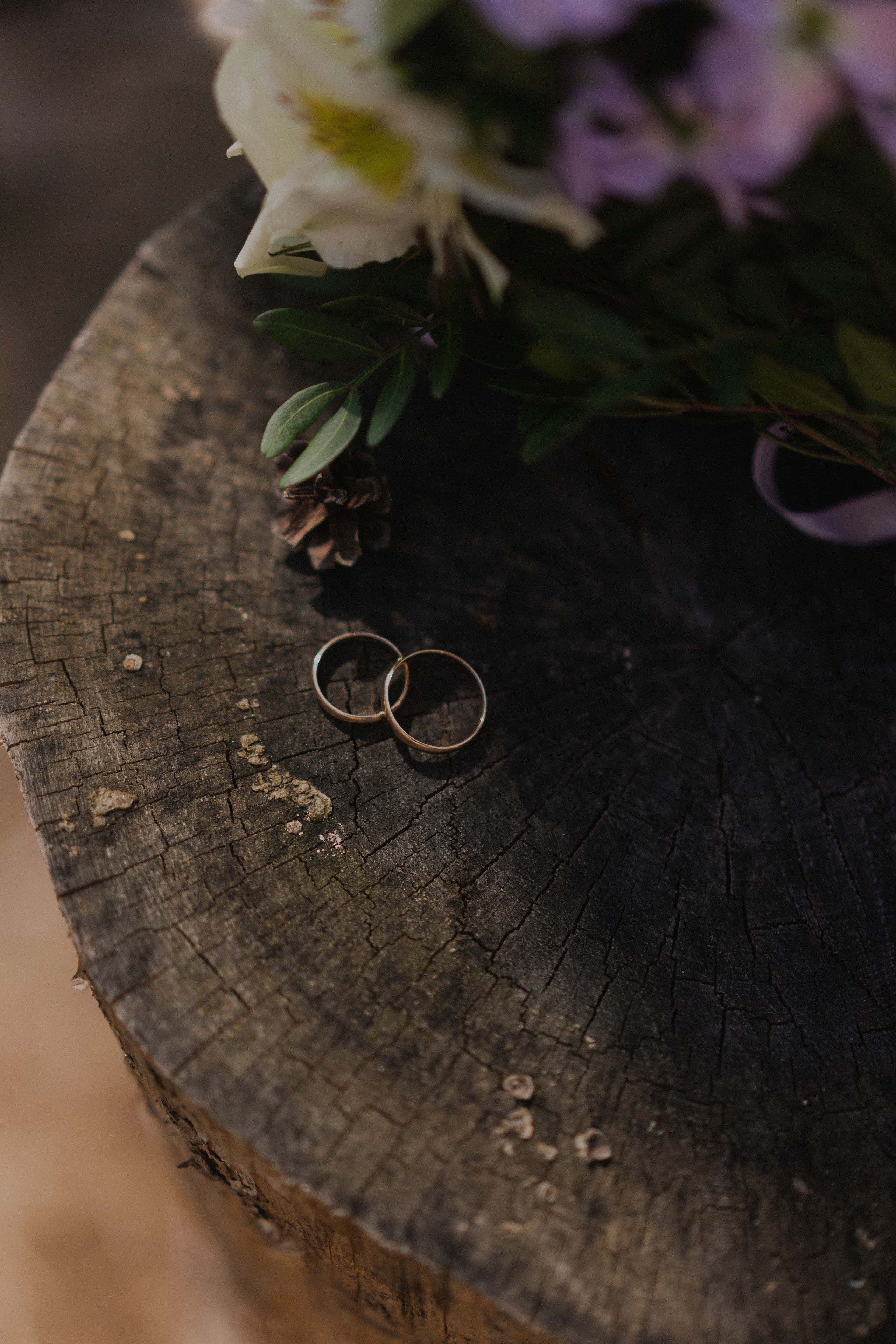 Анастасия и Максим. Фотограф Кристина Ерохина