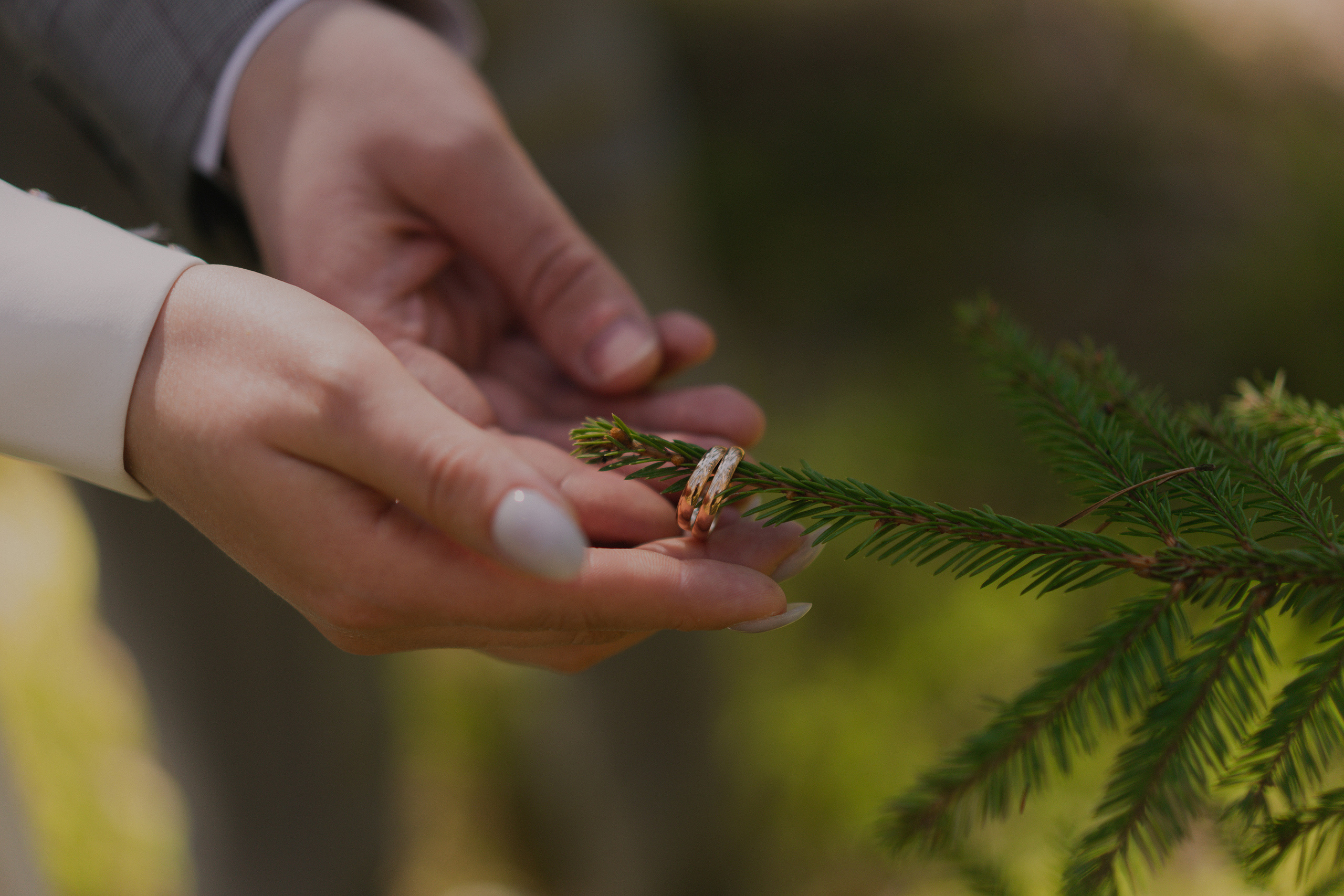 Анастасия и Максим. Фотограф Кристина Ерохина