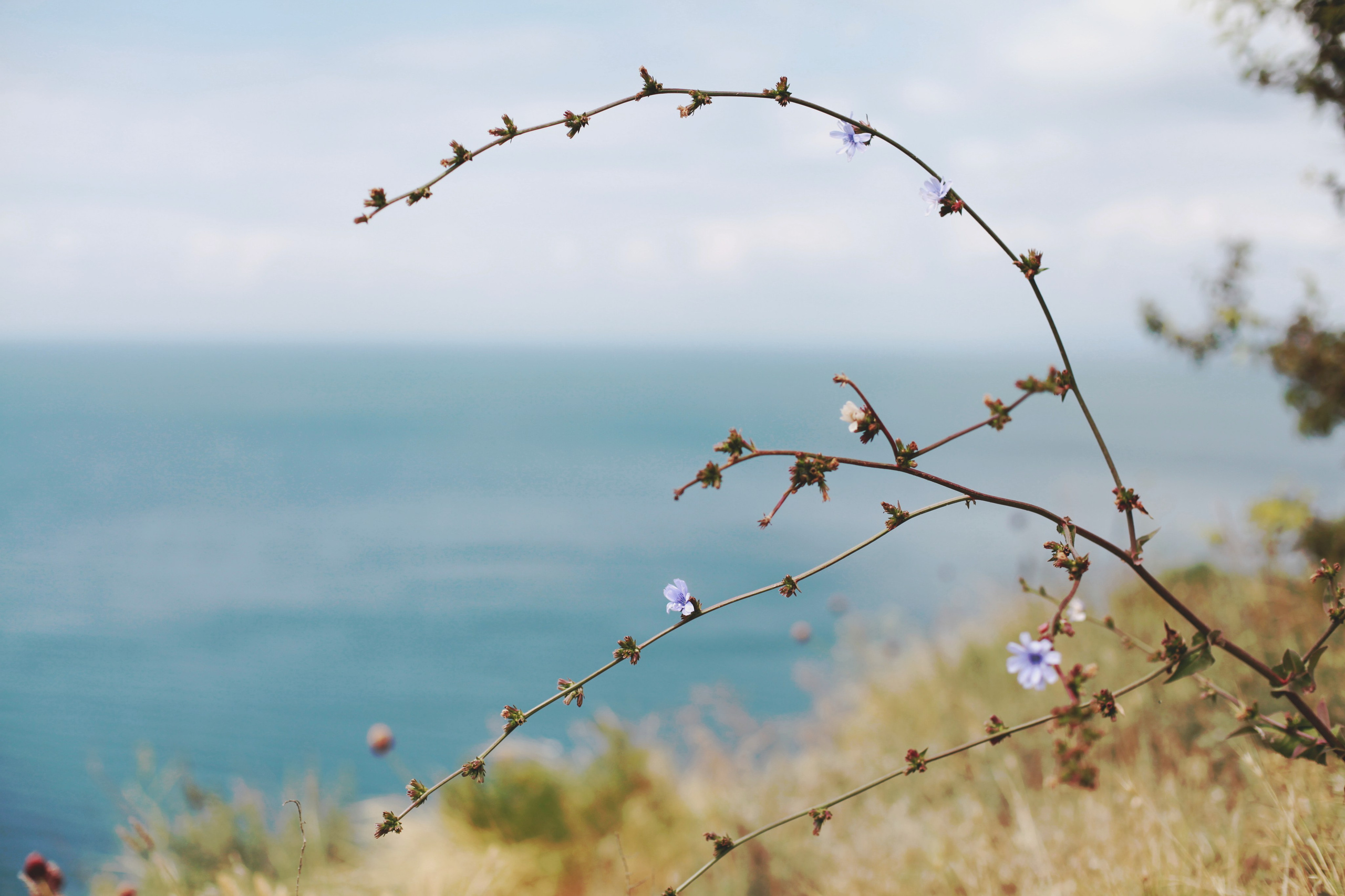 Болгария. Аня Степанова