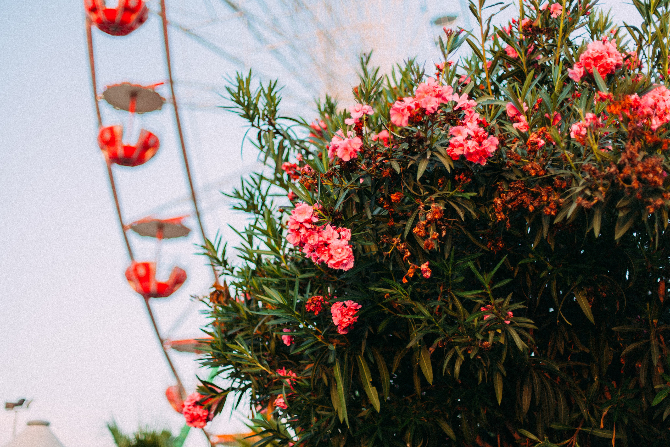 Кипр. Аня Степанова