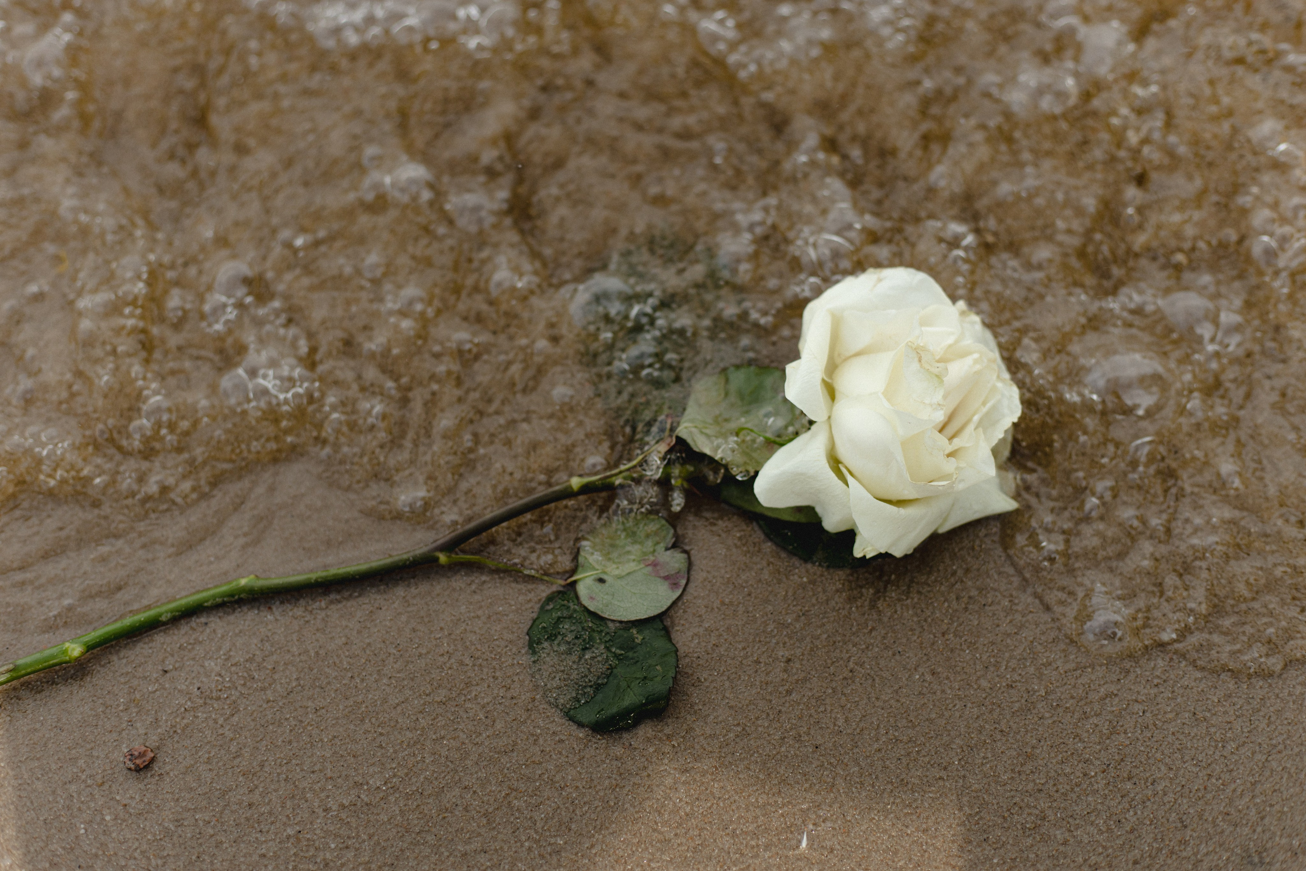 Leila. Портретный фотограф в Минске Анастасия Воробей