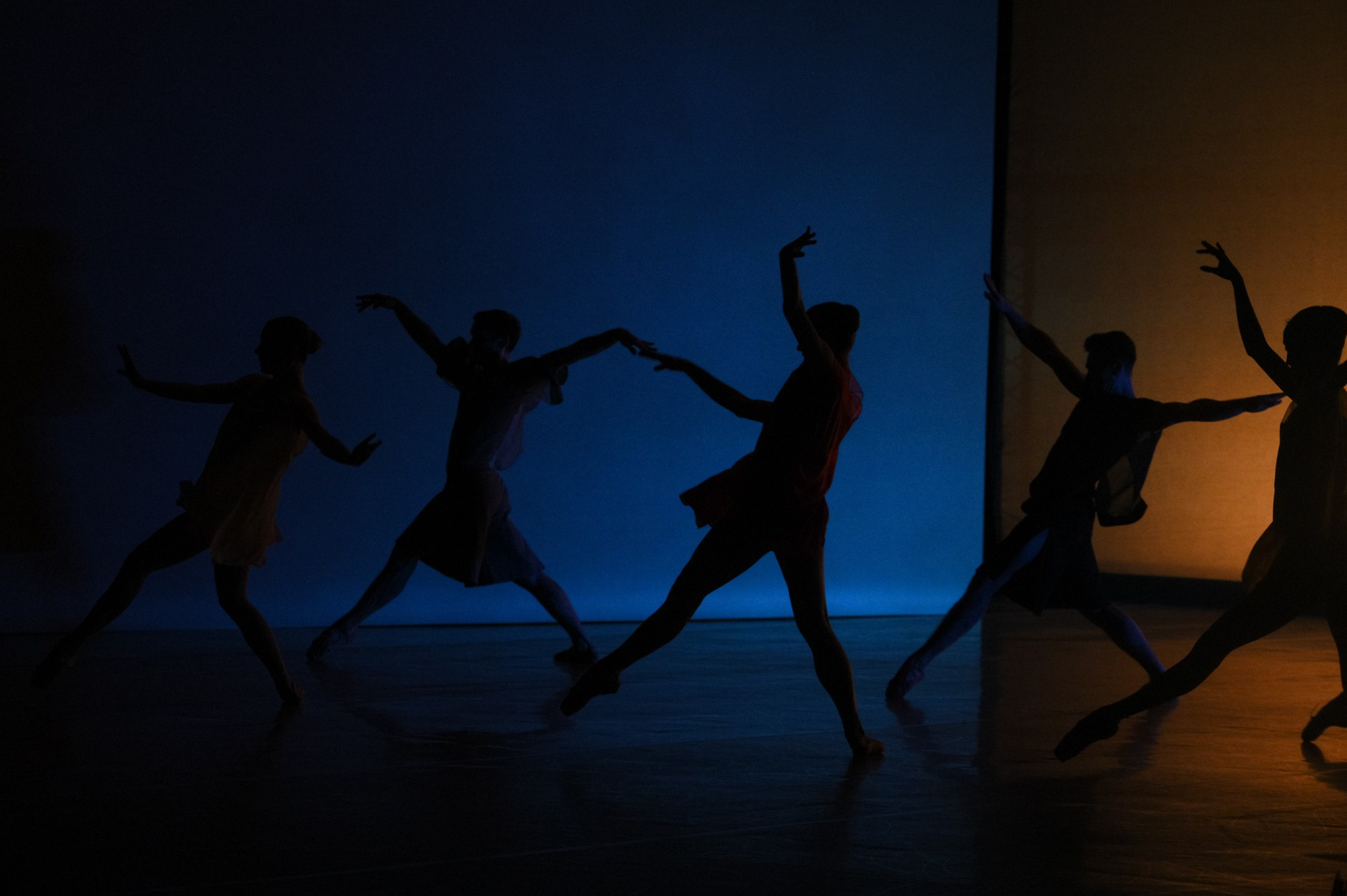 Балет Москва: Транскрипция цвета. Елена Дружинина. Спортивный и репортажный фотограф