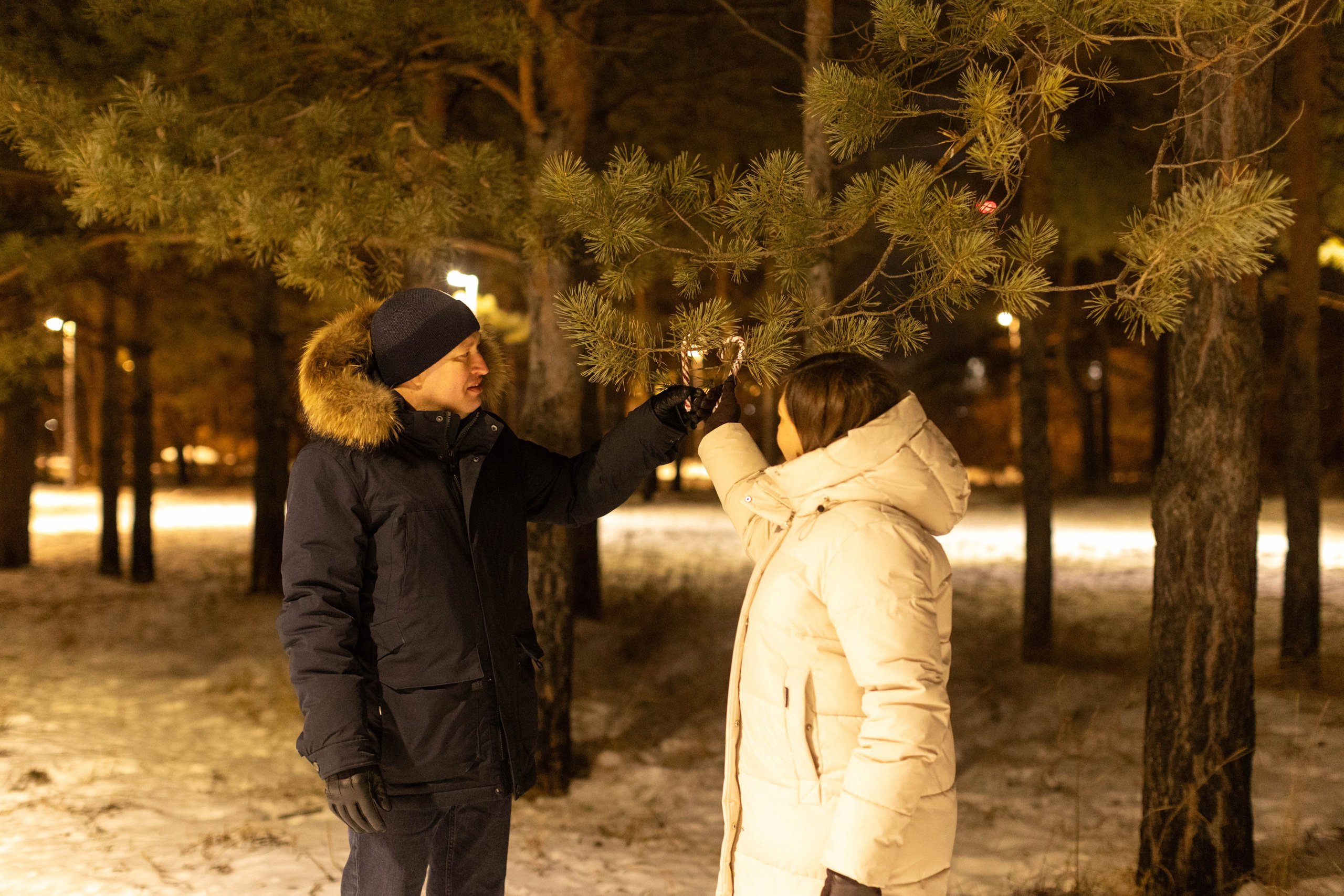 Новогодний вечер. Art my Pho