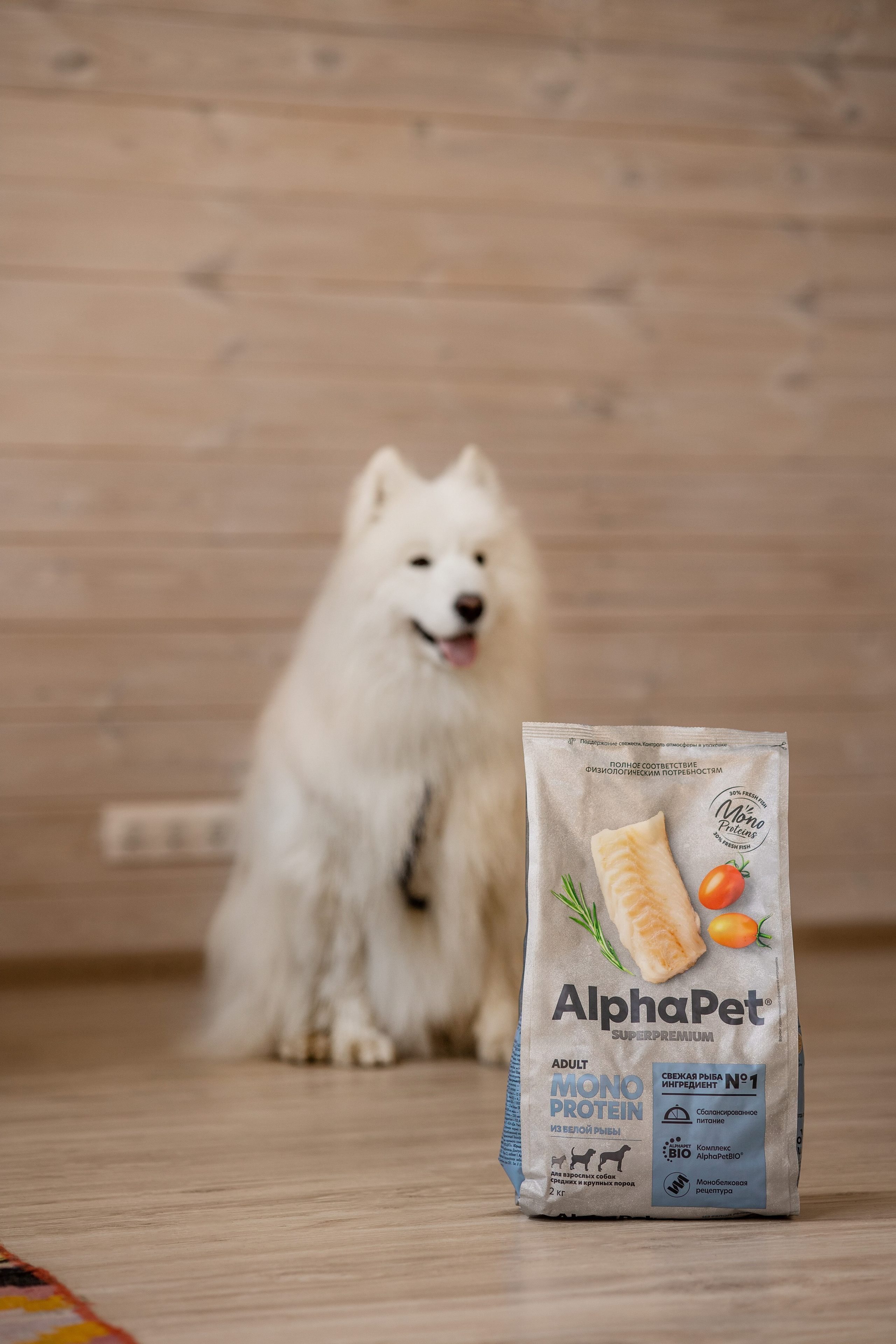 Корм AlphaPet. Анастасия Белаш